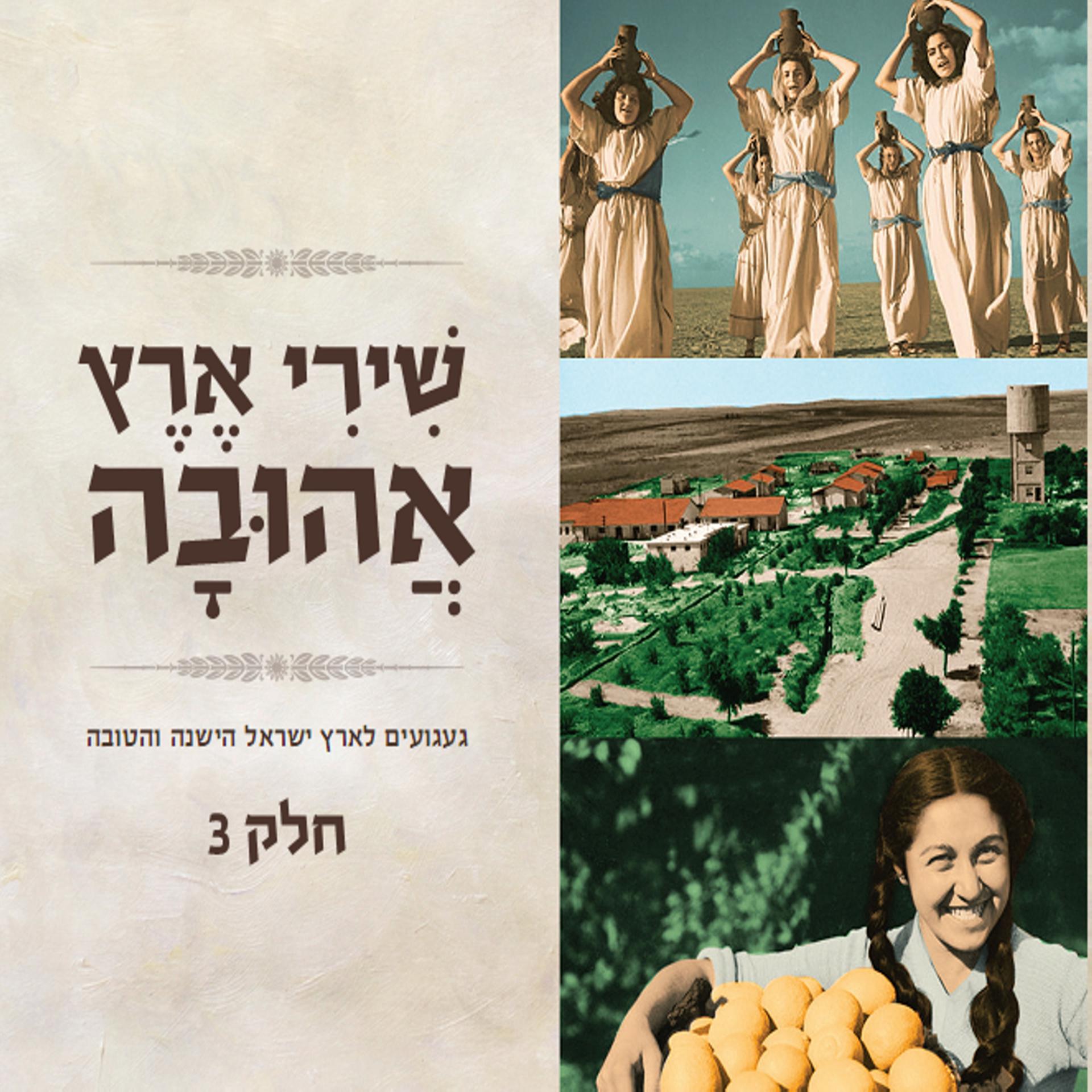 Постер альбома Shirey Eretz Ahuva 3