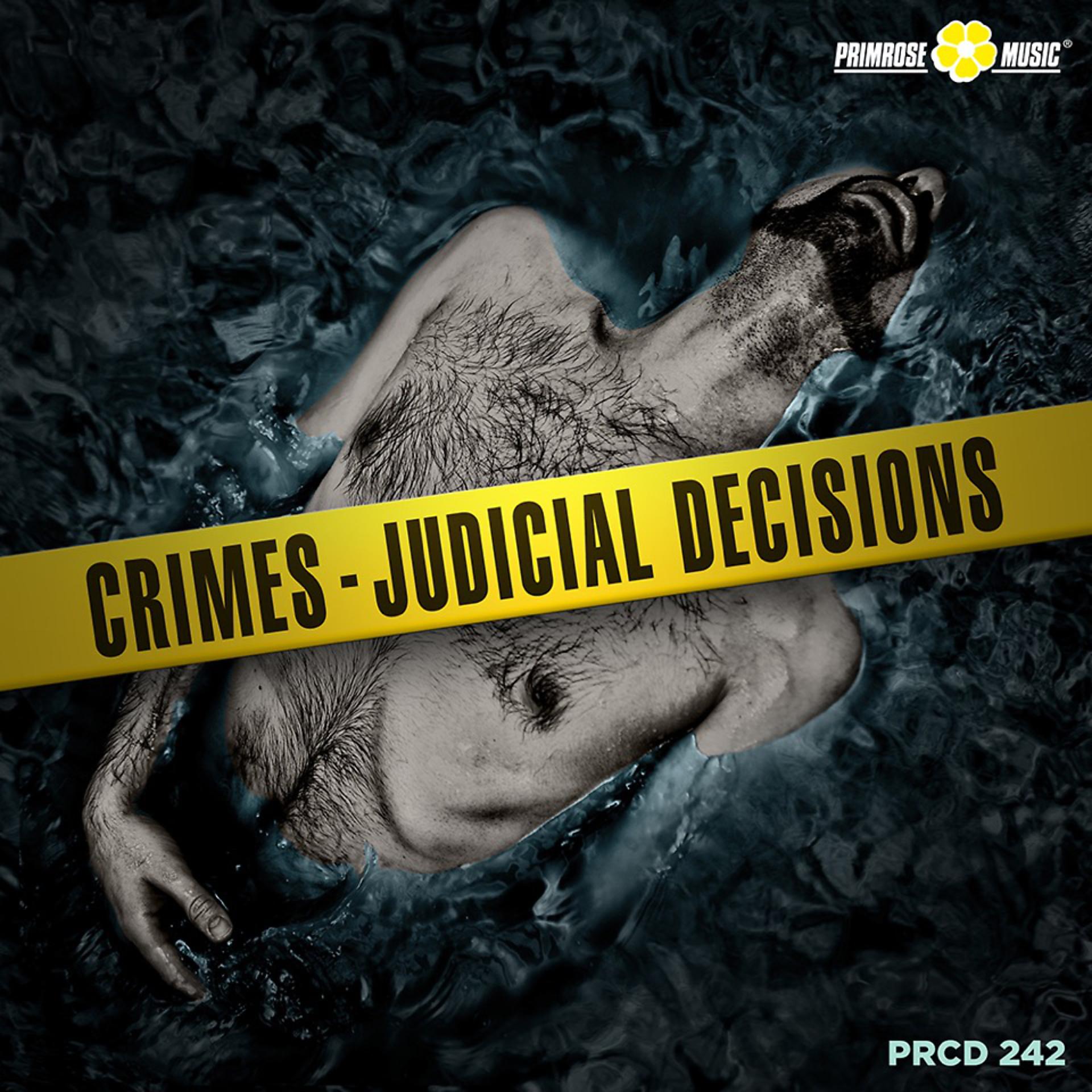 Постер альбома Crimes - Judicial Decisions