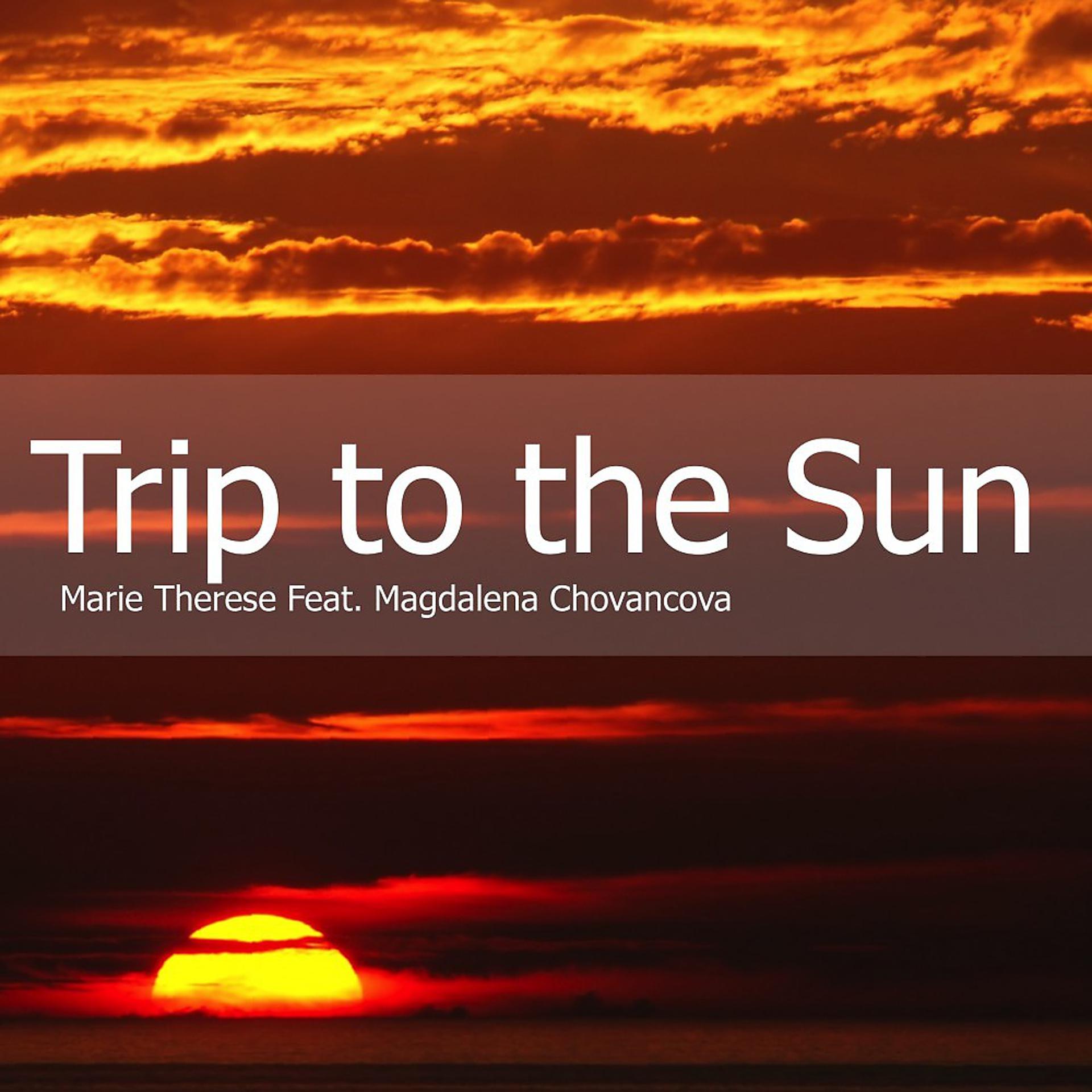 Постер альбома Trip to the Sun
