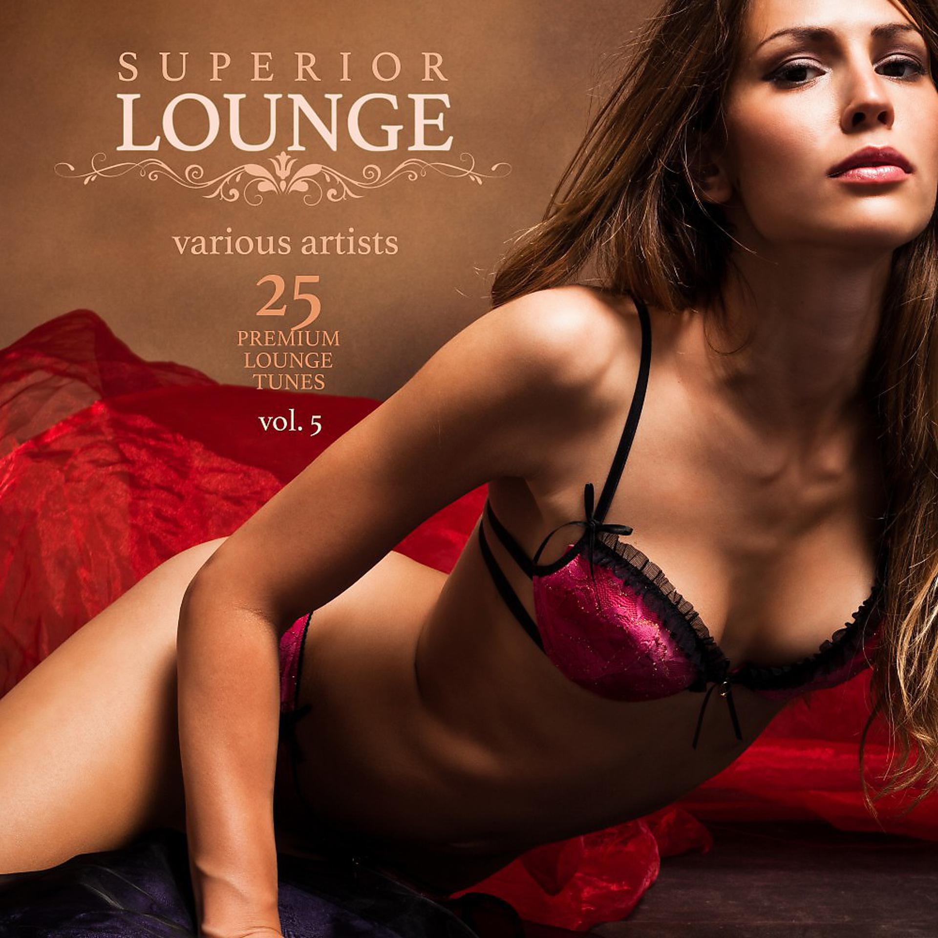 Постер альбома Superior Lounge, Vol. 5 (25 Premium Lounge Tunes)