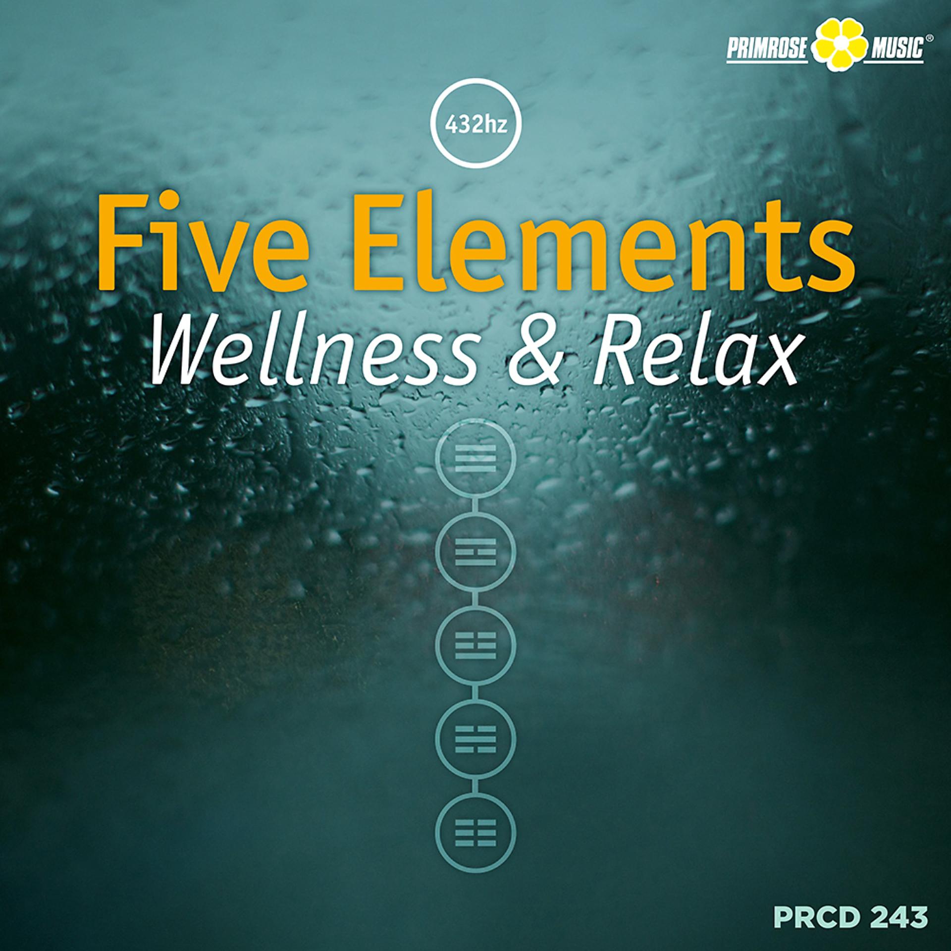 Постер альбома Five Elements