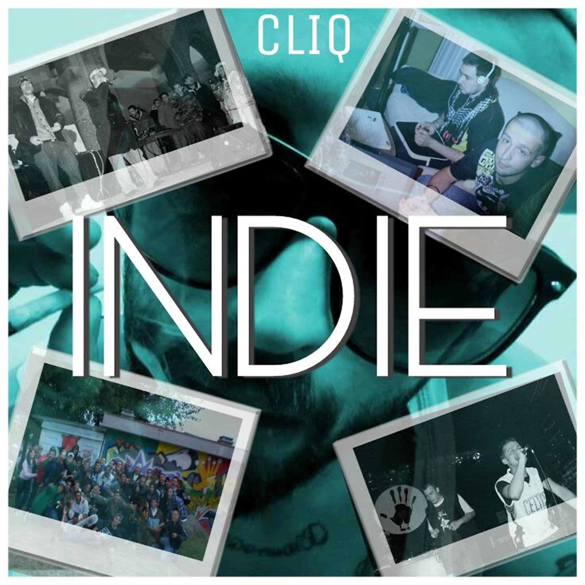Постер альбома Indie