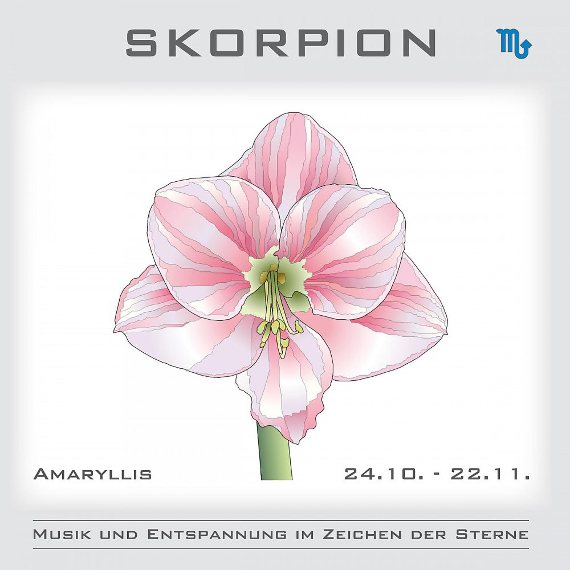Постер альбома Skorpion - Musik und Entspannung im Zeichen der Sterne