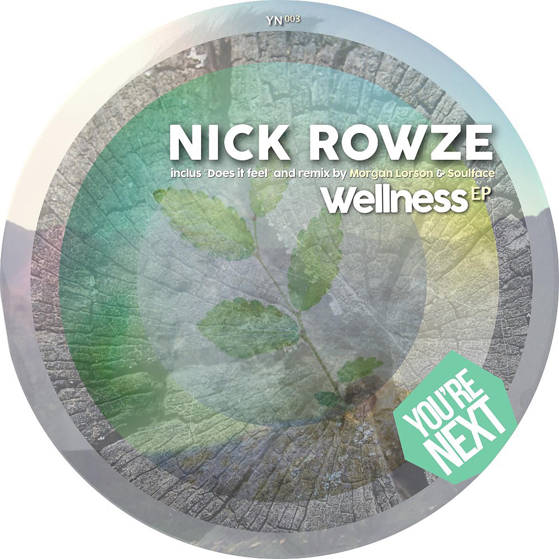 Постер альбома Wellness EP