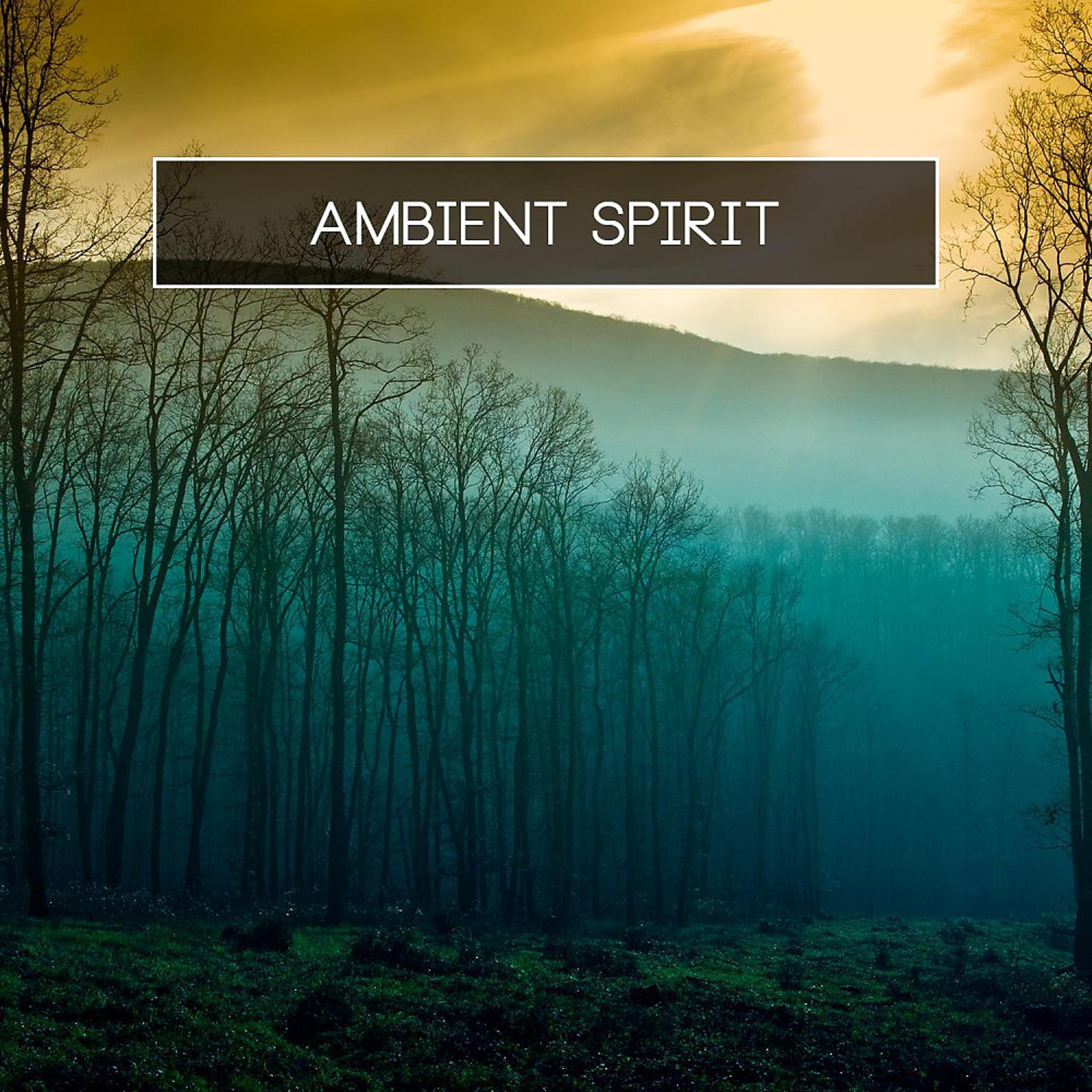 Постер альбома Ambient Spirit