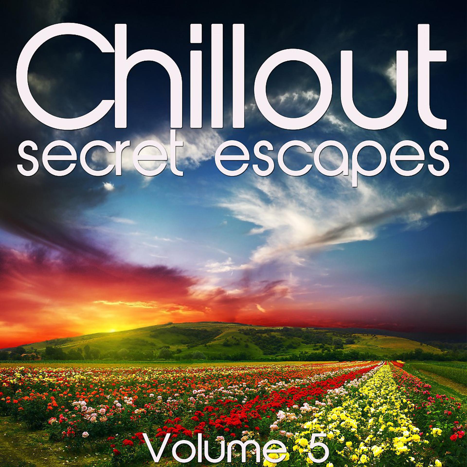 Постер альбома Chillout: Secret Escapes, Vol. 5