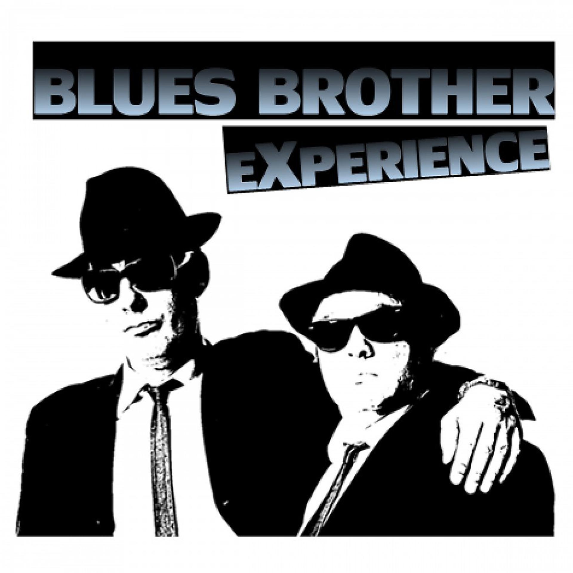 Постер альбома Blues Brother Experience