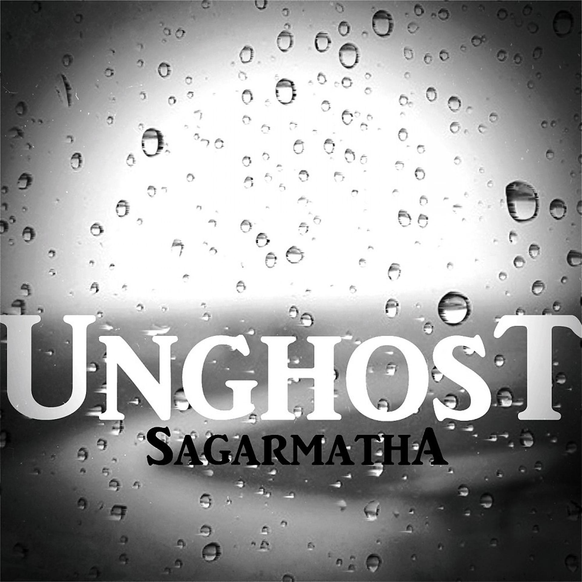 Постер альбома Sagarmatha