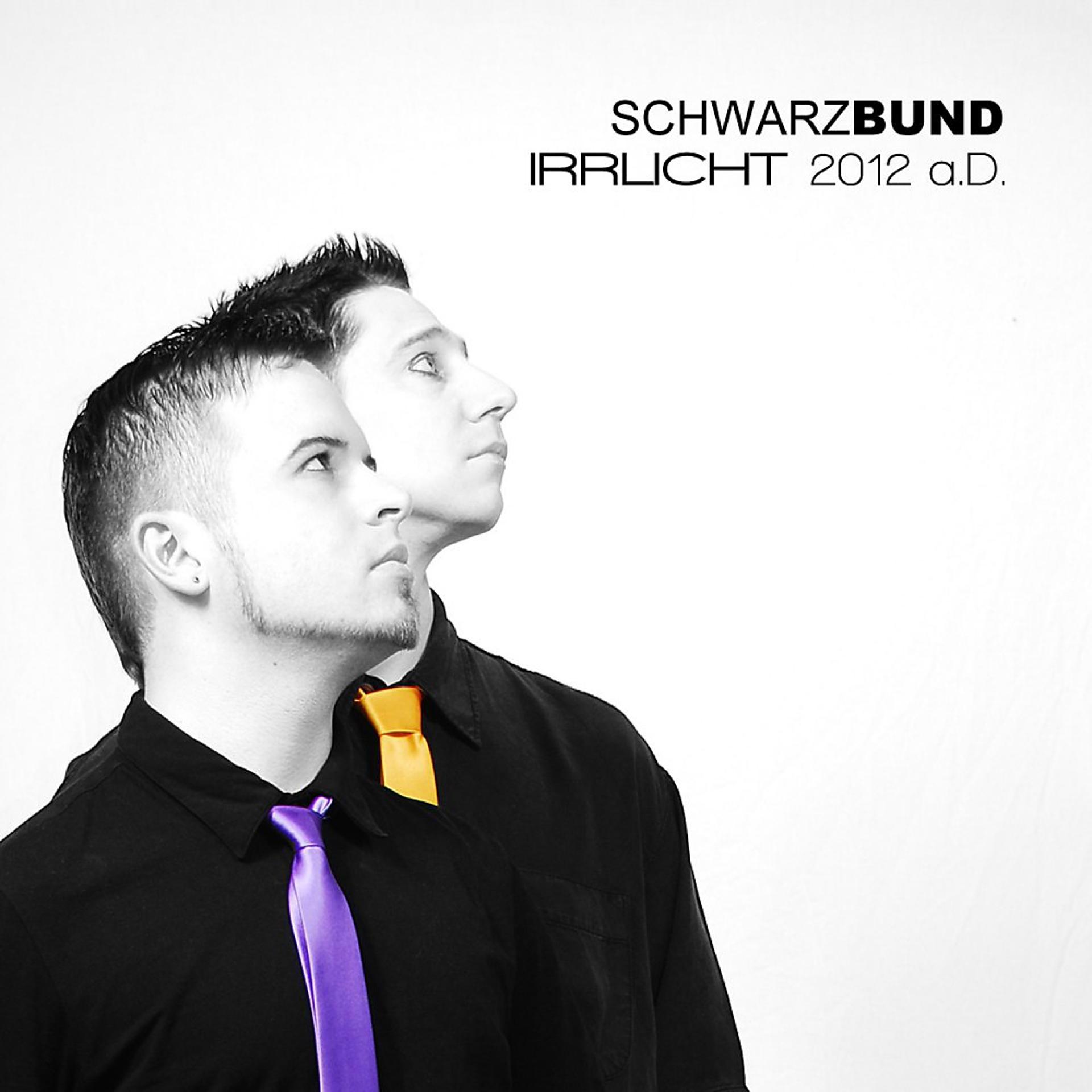 Постер альбома Irrlicht 2012 a.D.