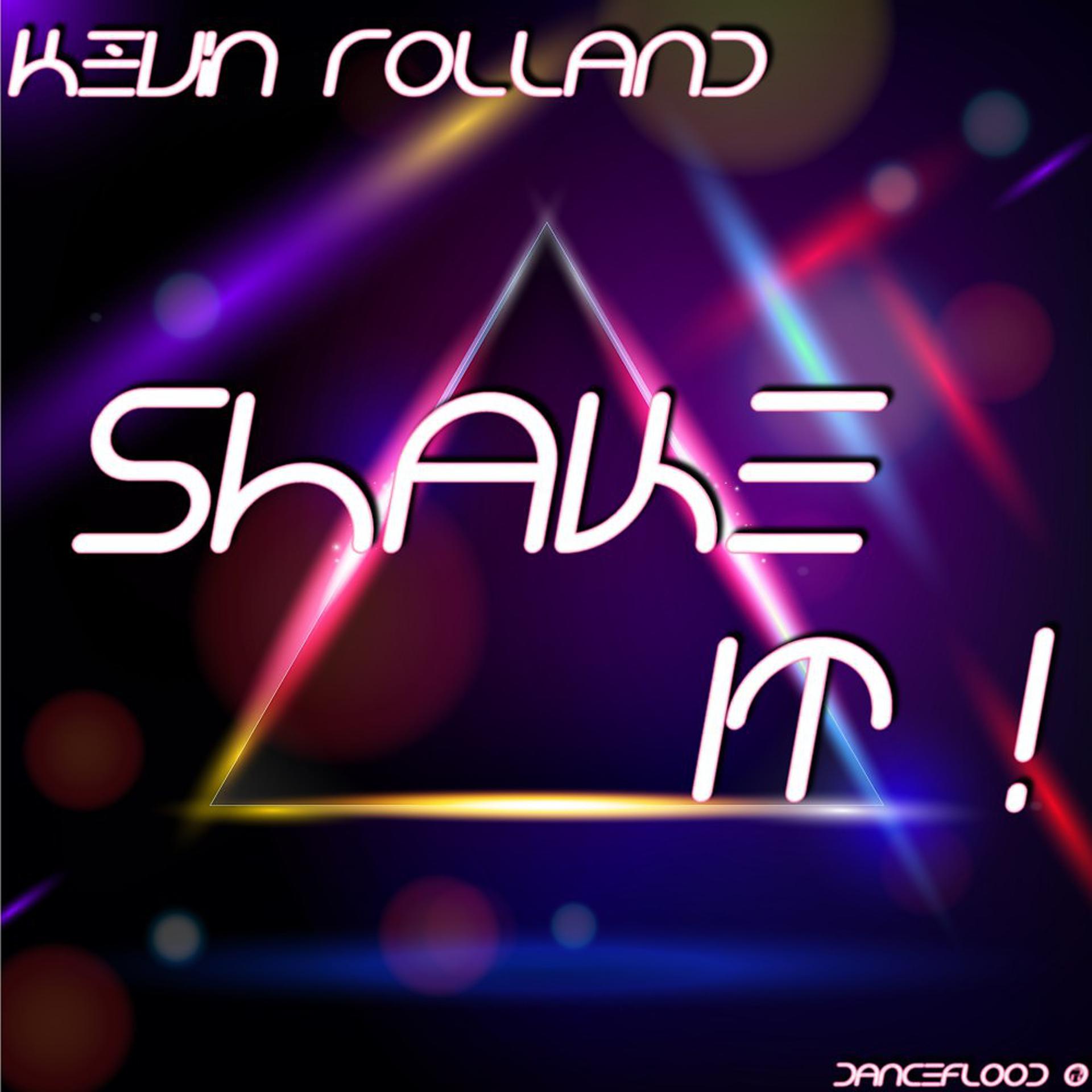 Постер альбома Shake It !