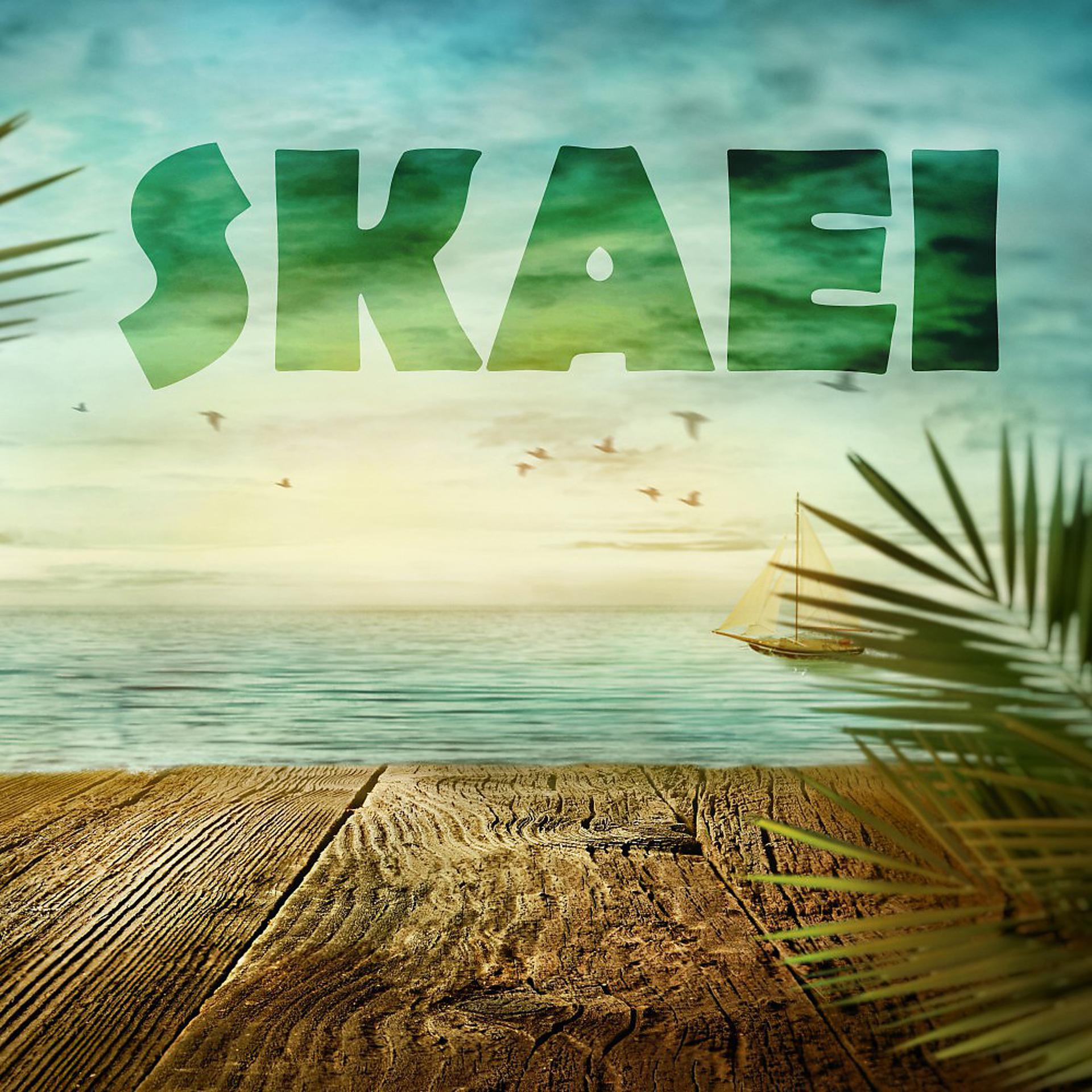 Постер альбома Skaei