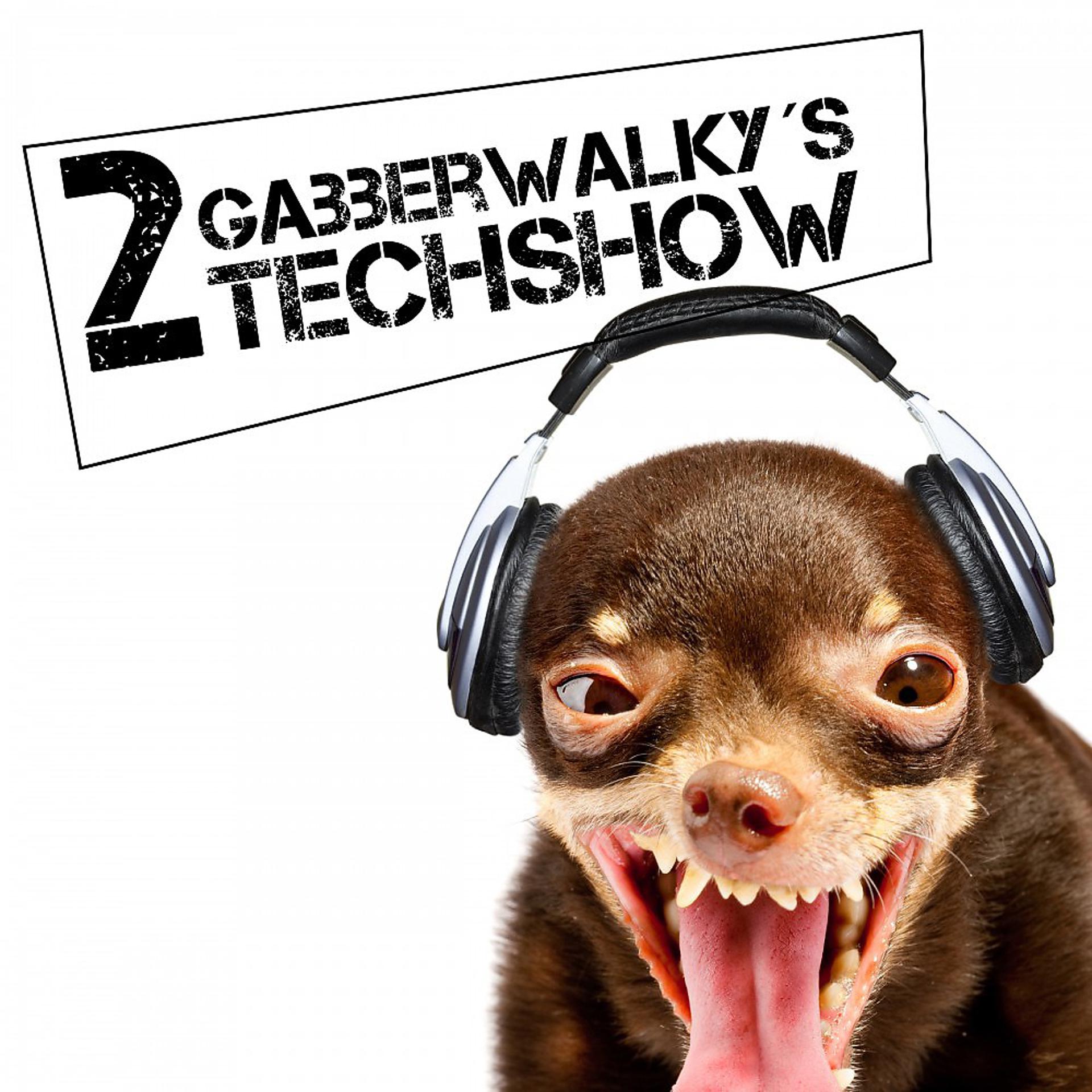 Постер альбома Gabberwalky's Techshow, Vol. 2