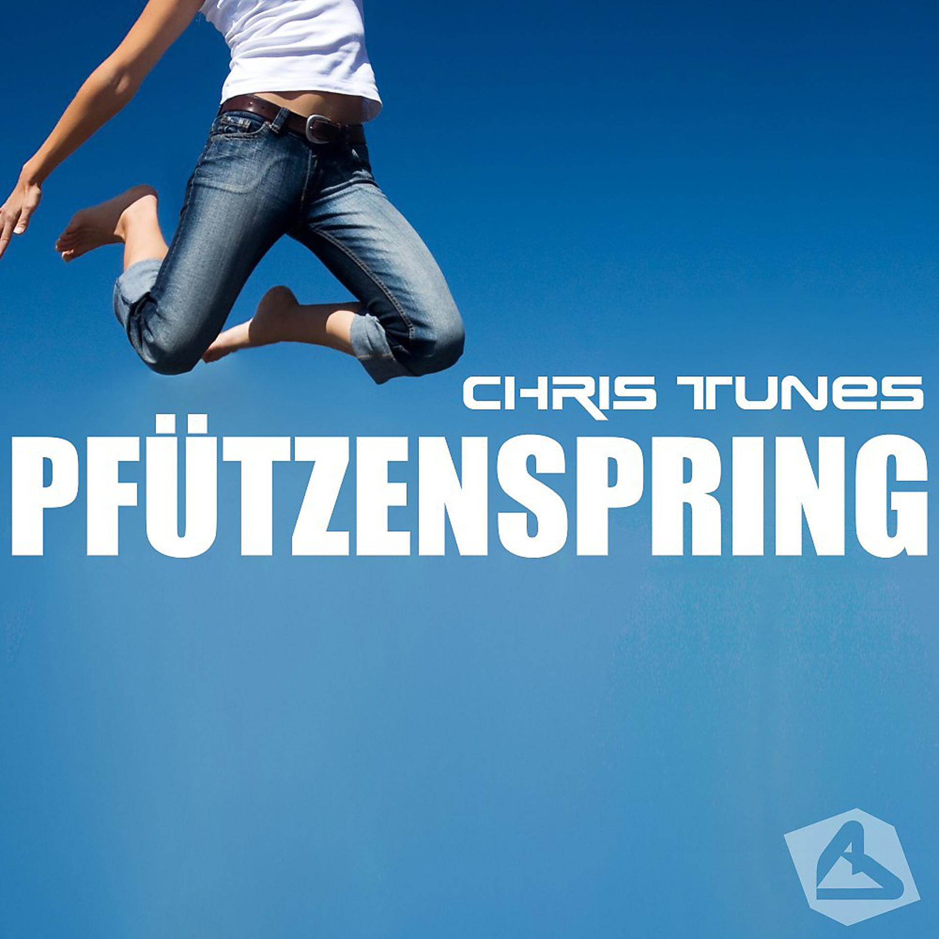 Постер альбома Pfützenspring