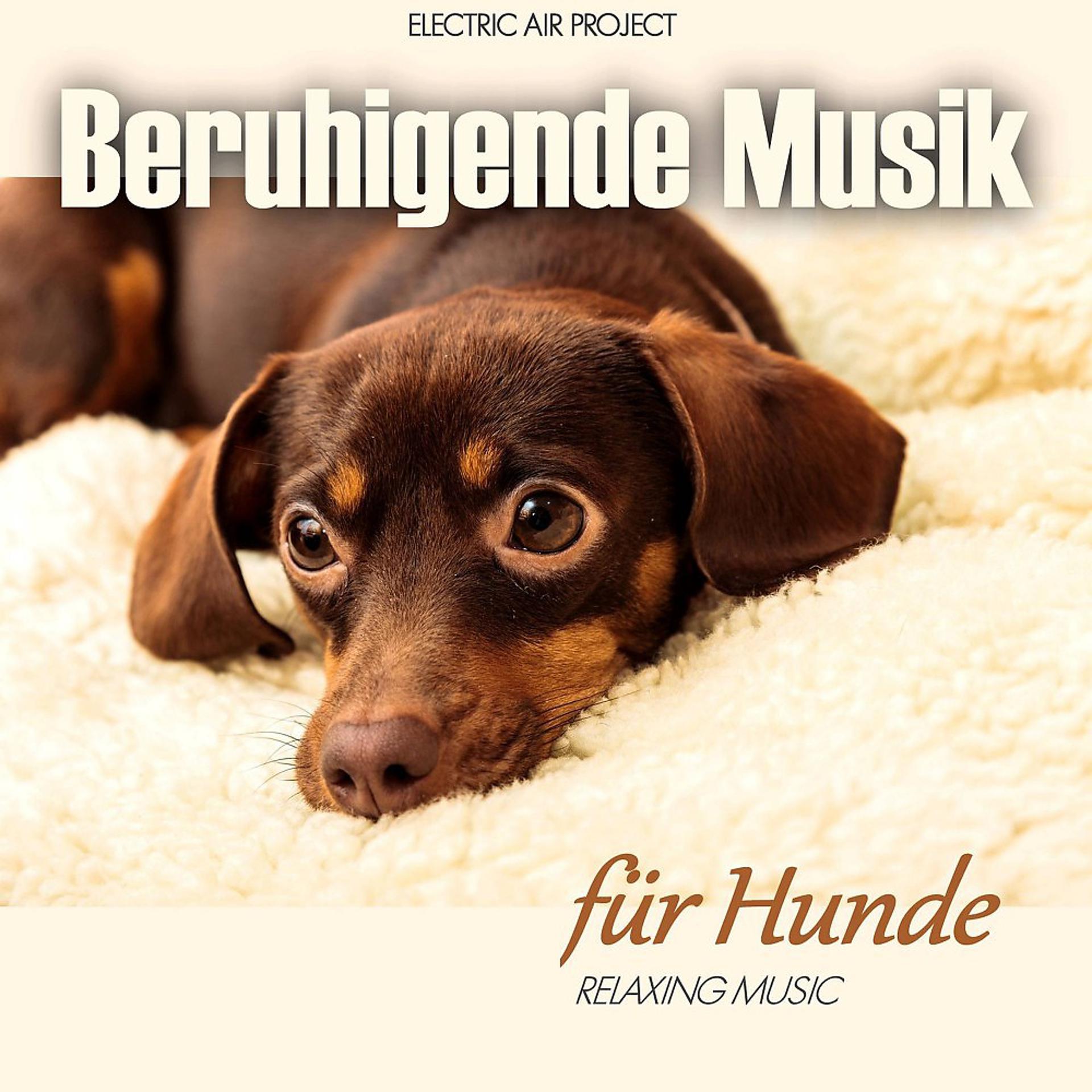Постер альбома Beruhigende Musik für Hunde (Relaxing Music)
