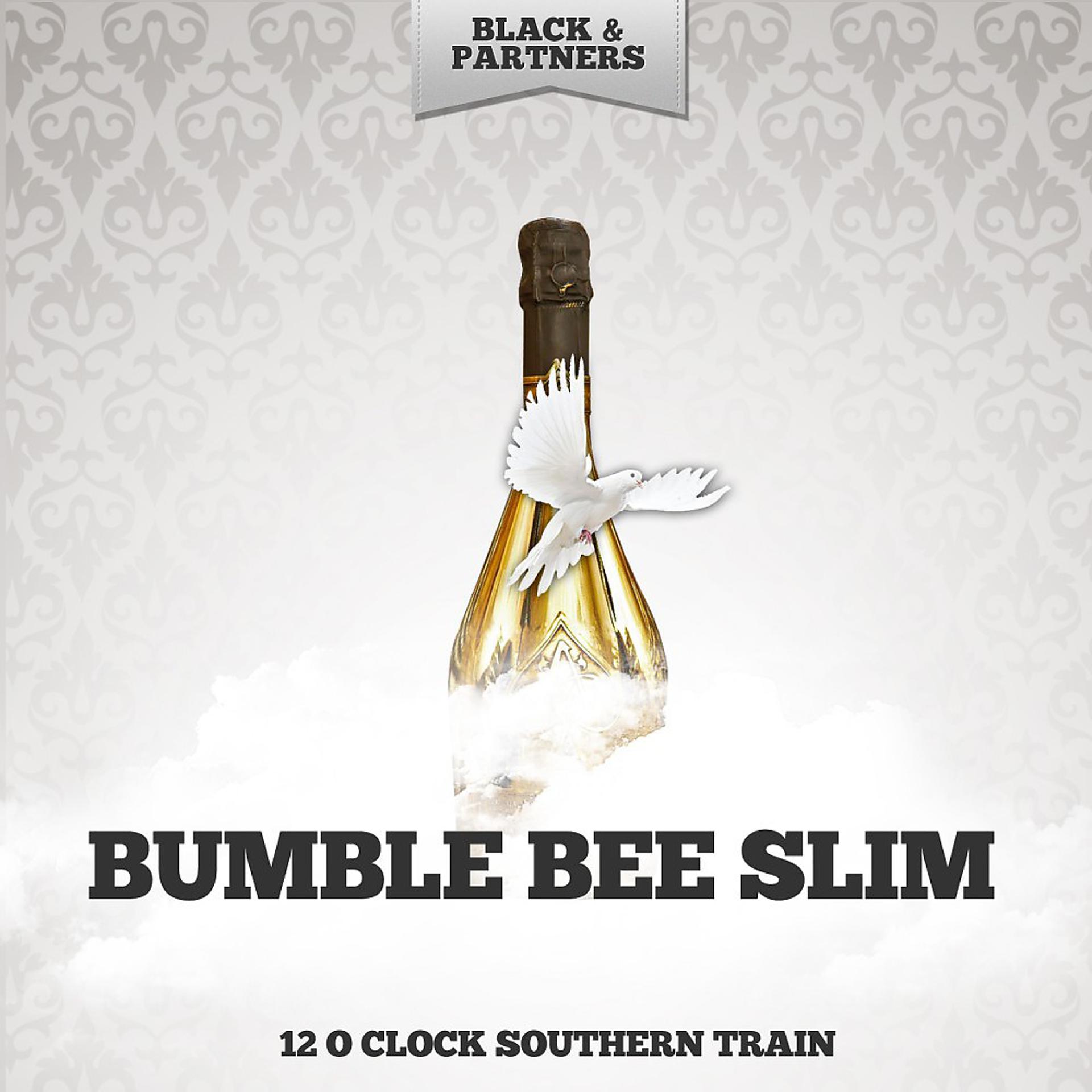Постер альбома 12 O Clock Southern Train