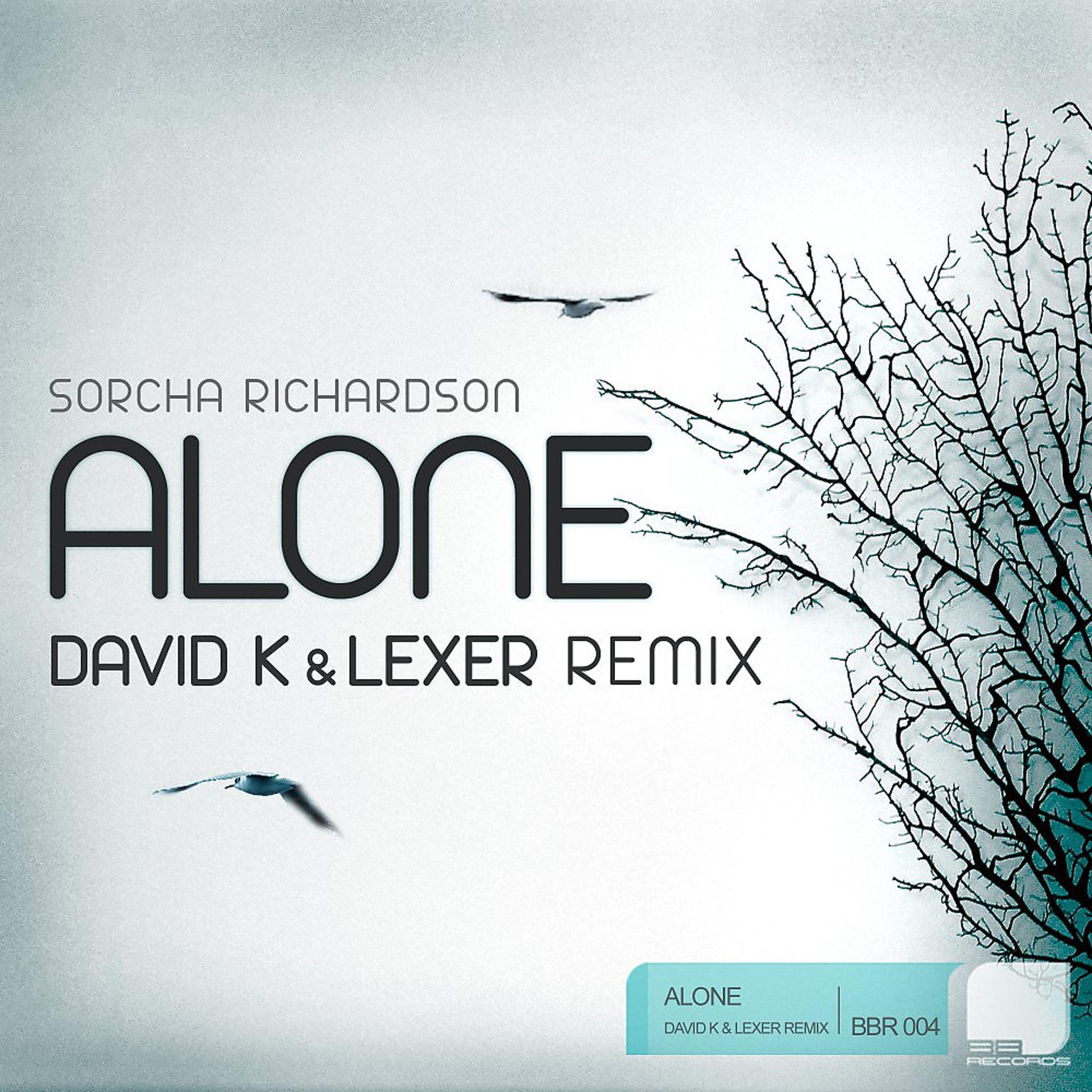 Постер альбома Alone (David K & Lexer Remix)