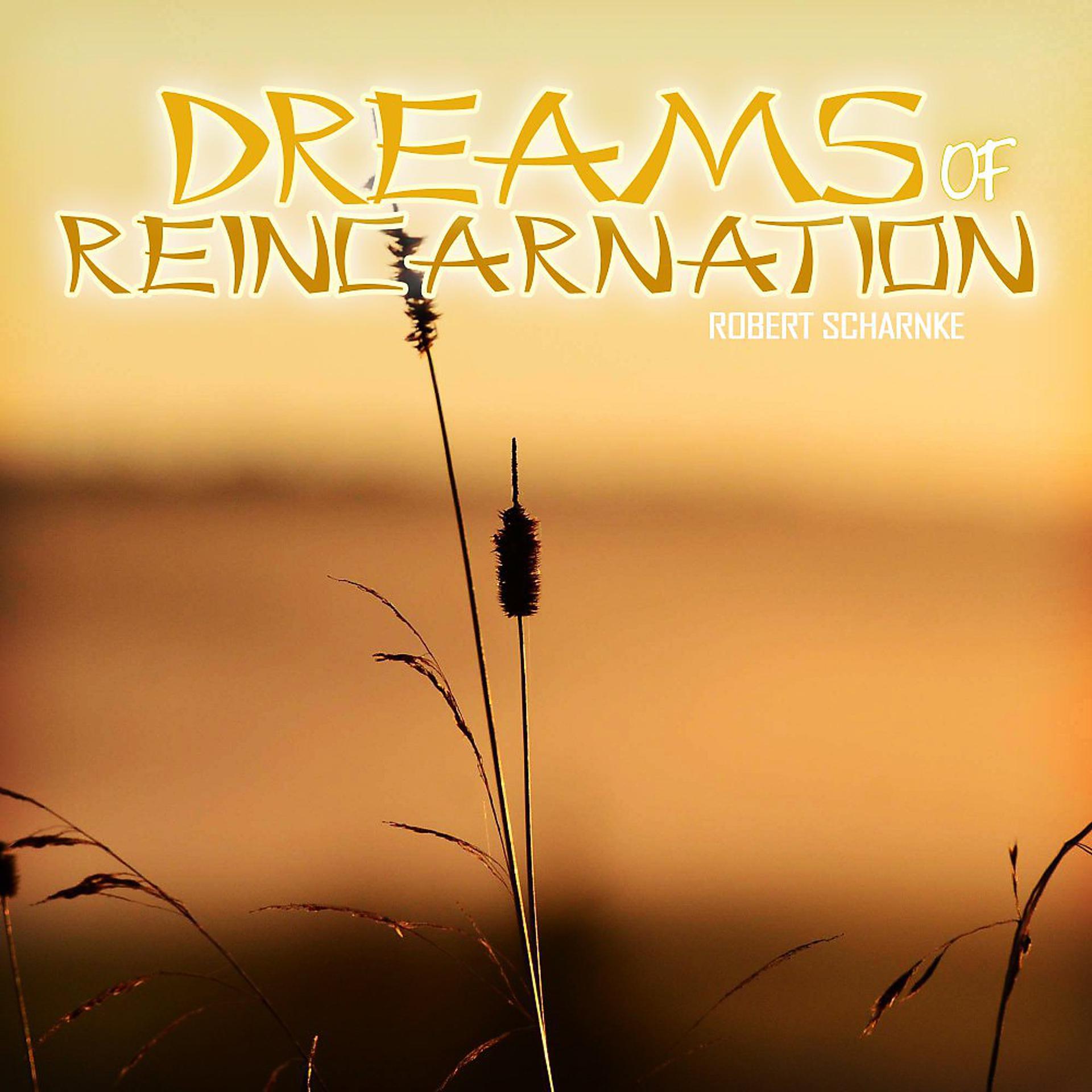 Постер альбома Dreams of Reincarnation