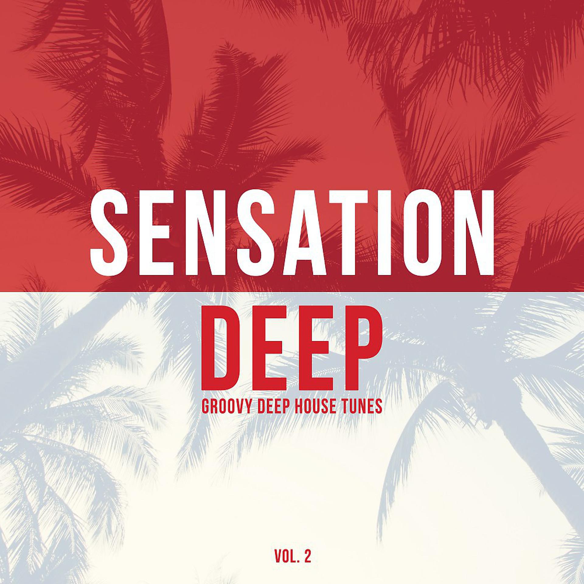 Постер альбома Sensation Deep, Vol. 2 (Groovy Deep House Tunes)
