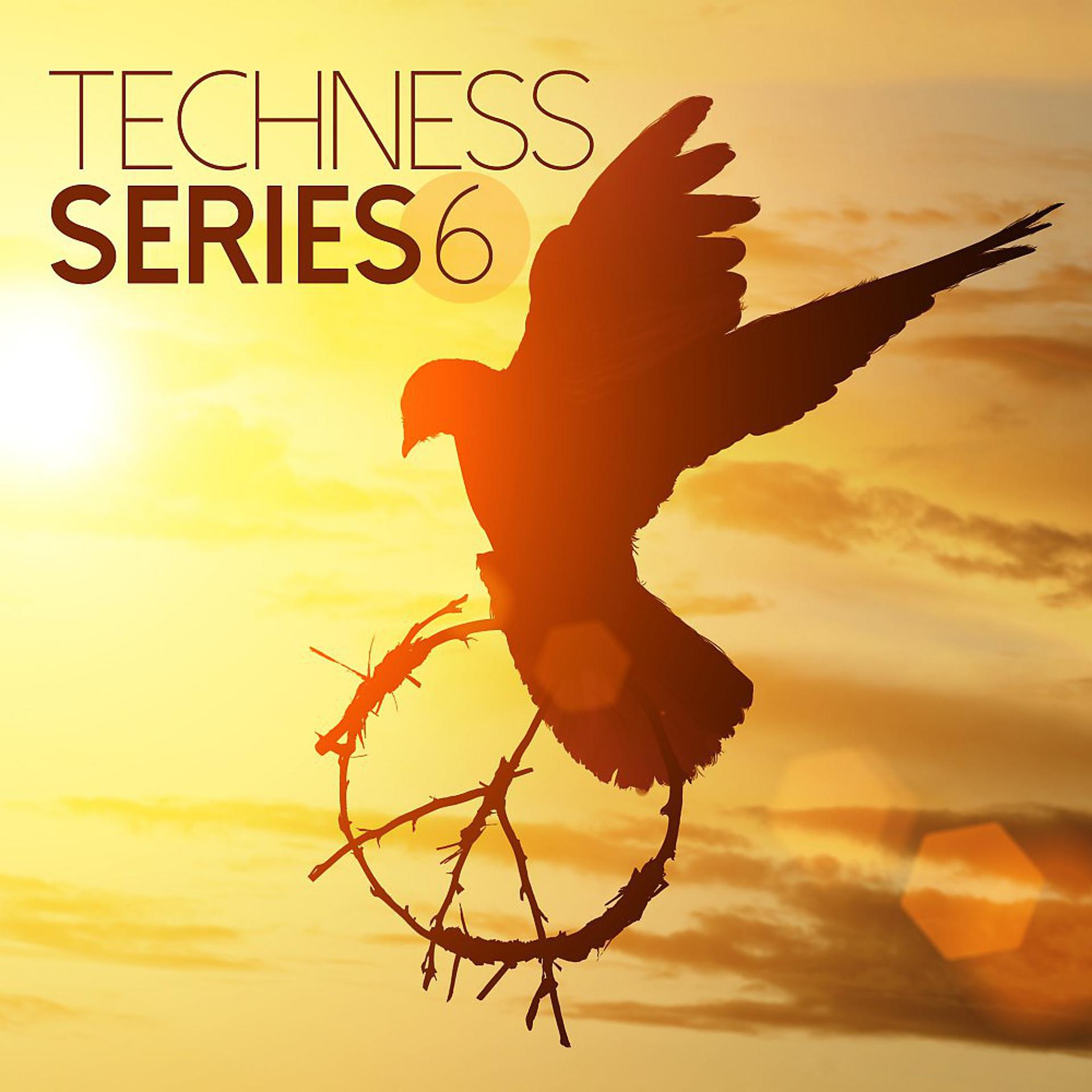 Постер альбома Techness Series 6