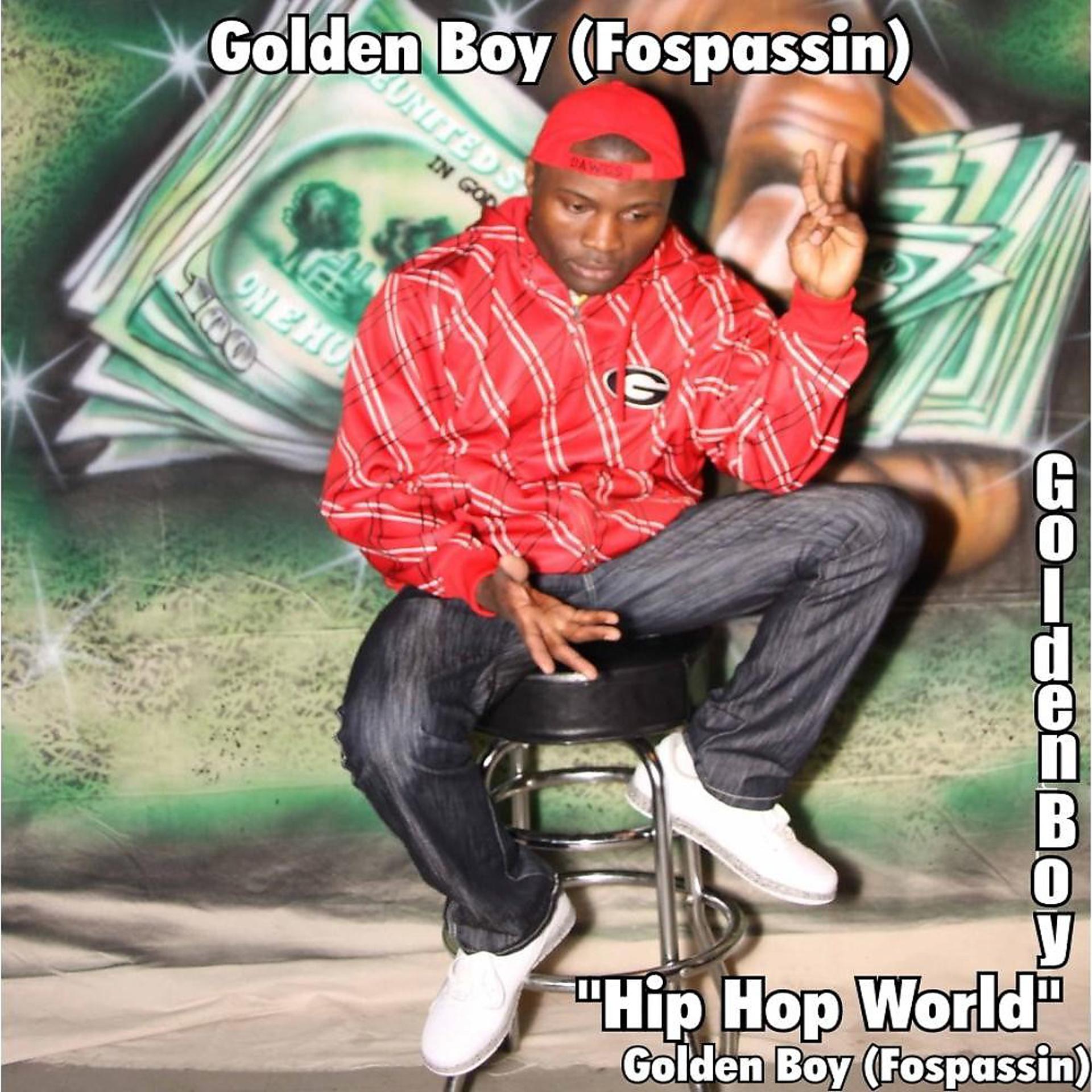 Постер альбома Hip Hop World