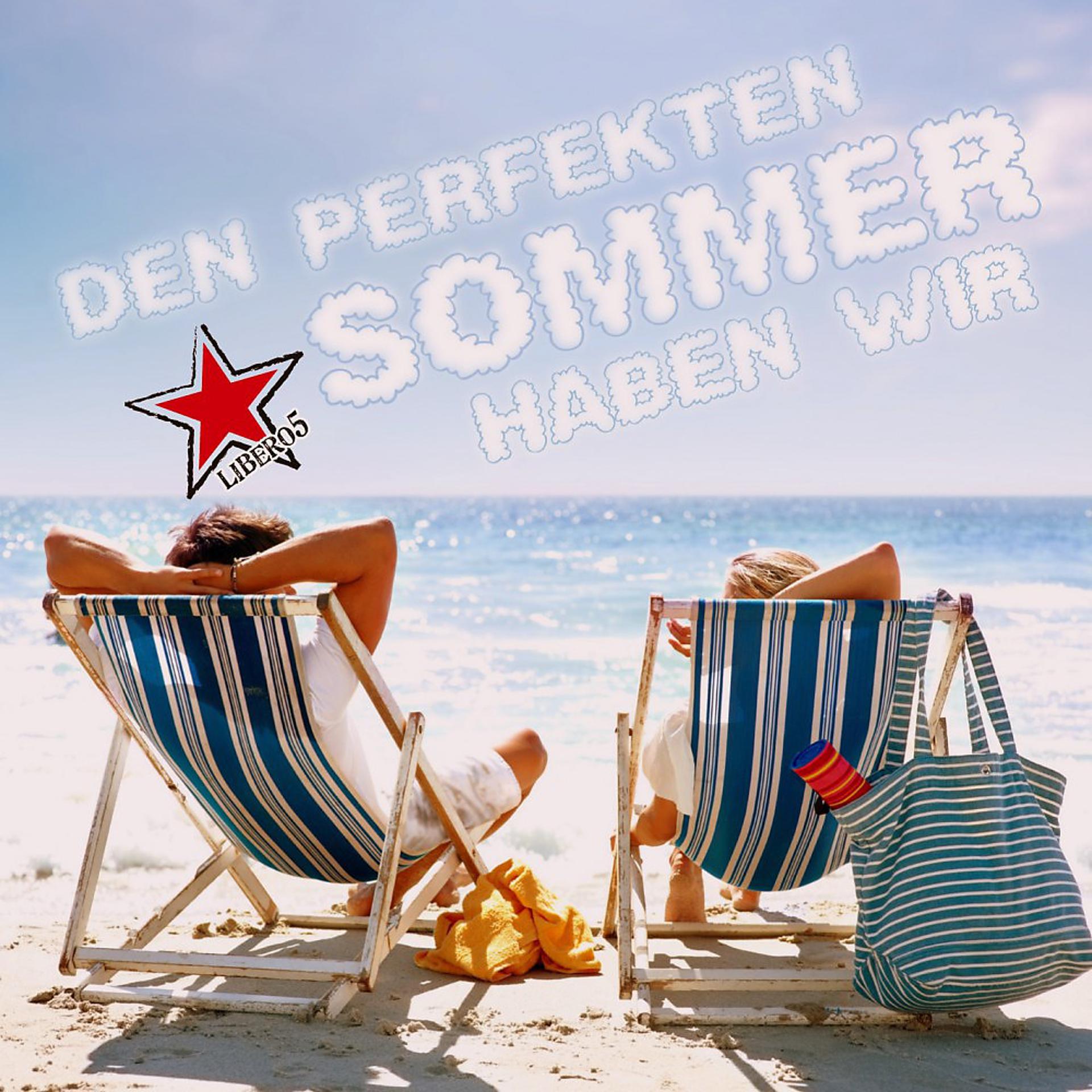 Постер альбома Den perfekten Sommer haben wir