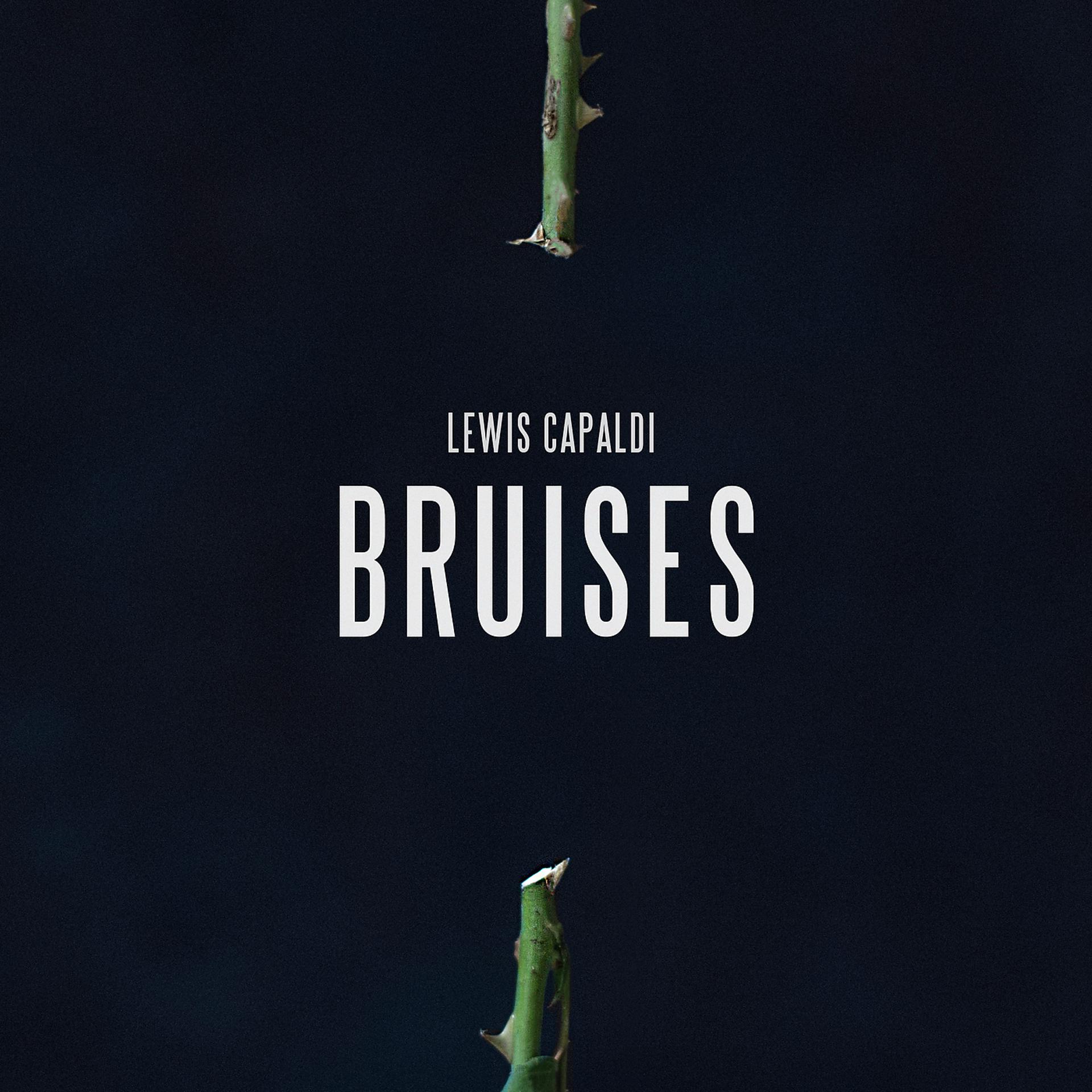 Постер альбома Bruises
