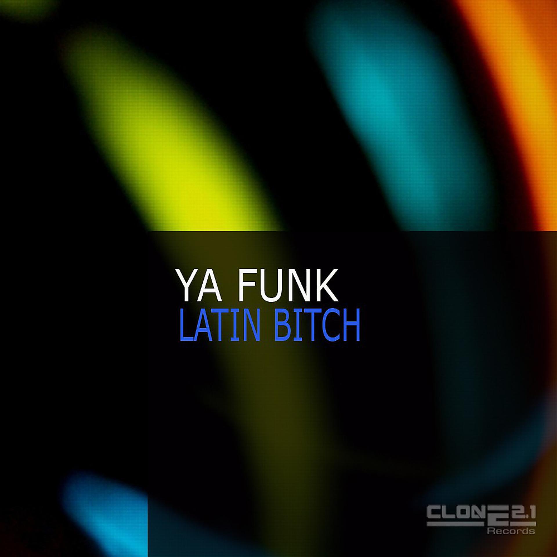 Постер альбома Latin Bitch