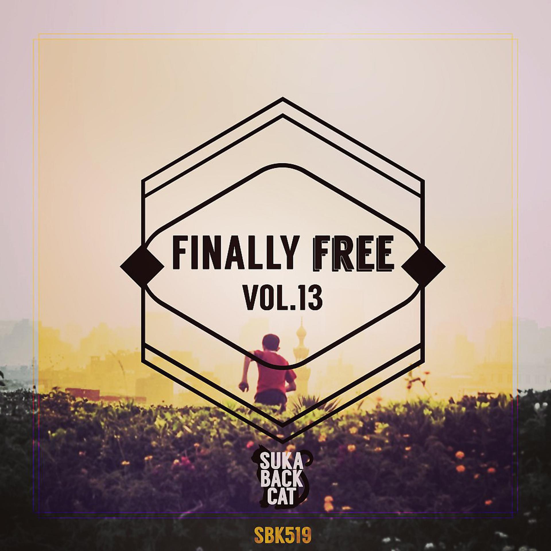 Постер альбома Finally Free, Vol. 13