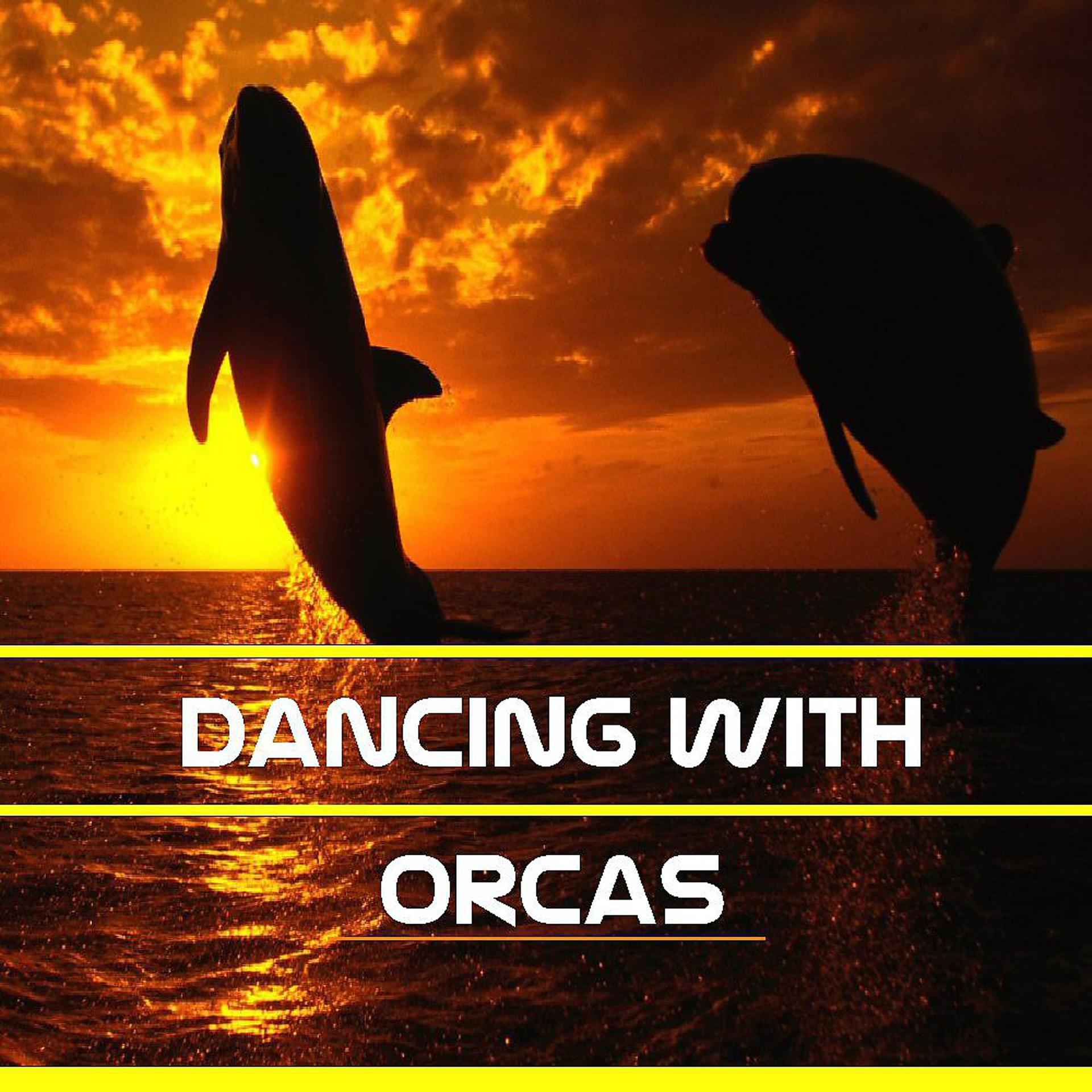 Постер альбома Dancing With Orcas