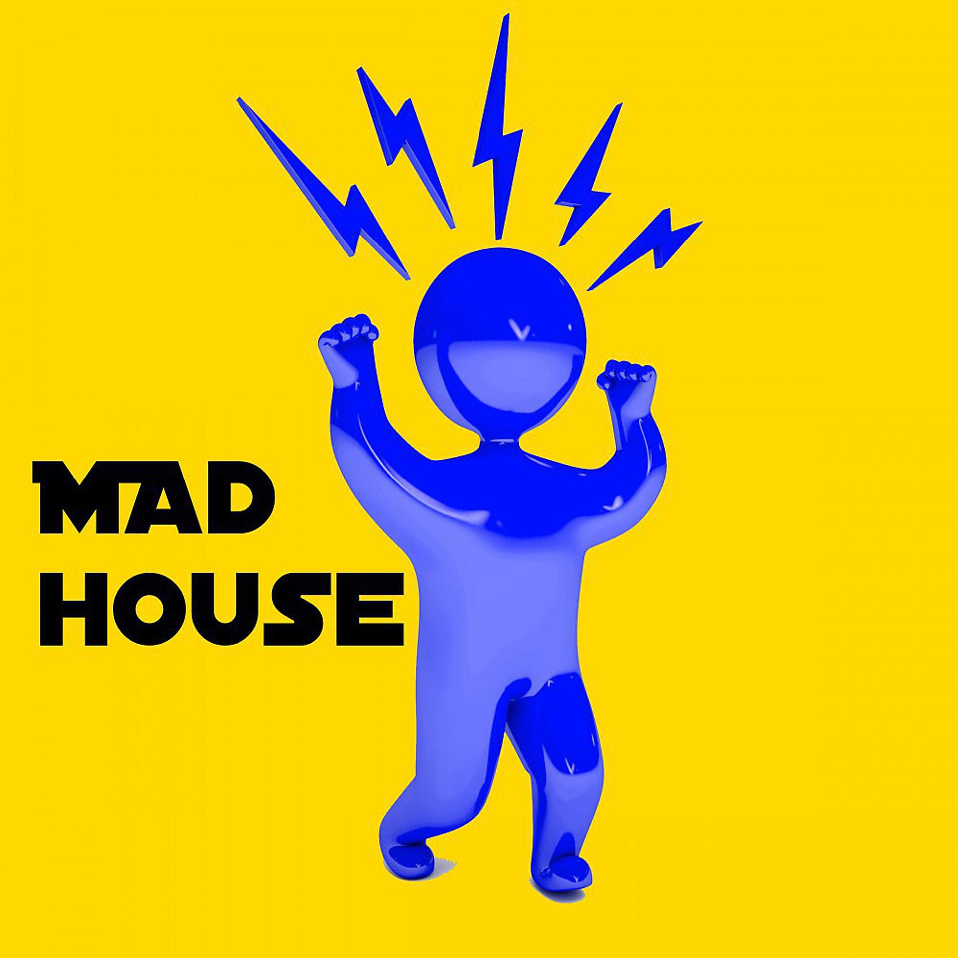 Постер альбома Mad House