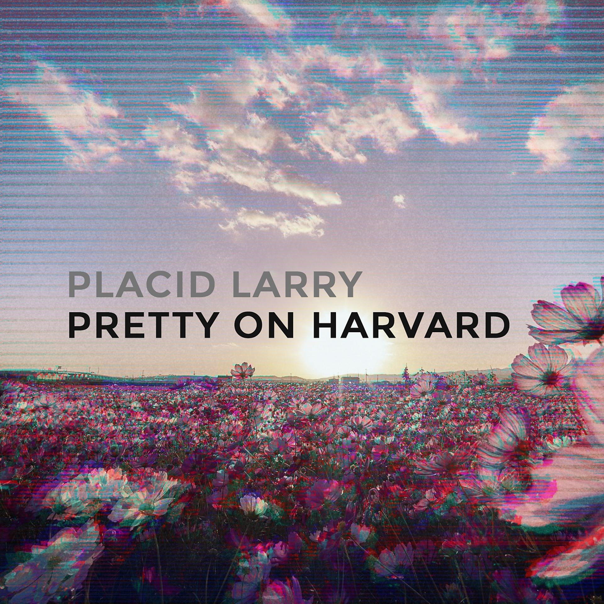 Постер альбома Pretty on Harvard