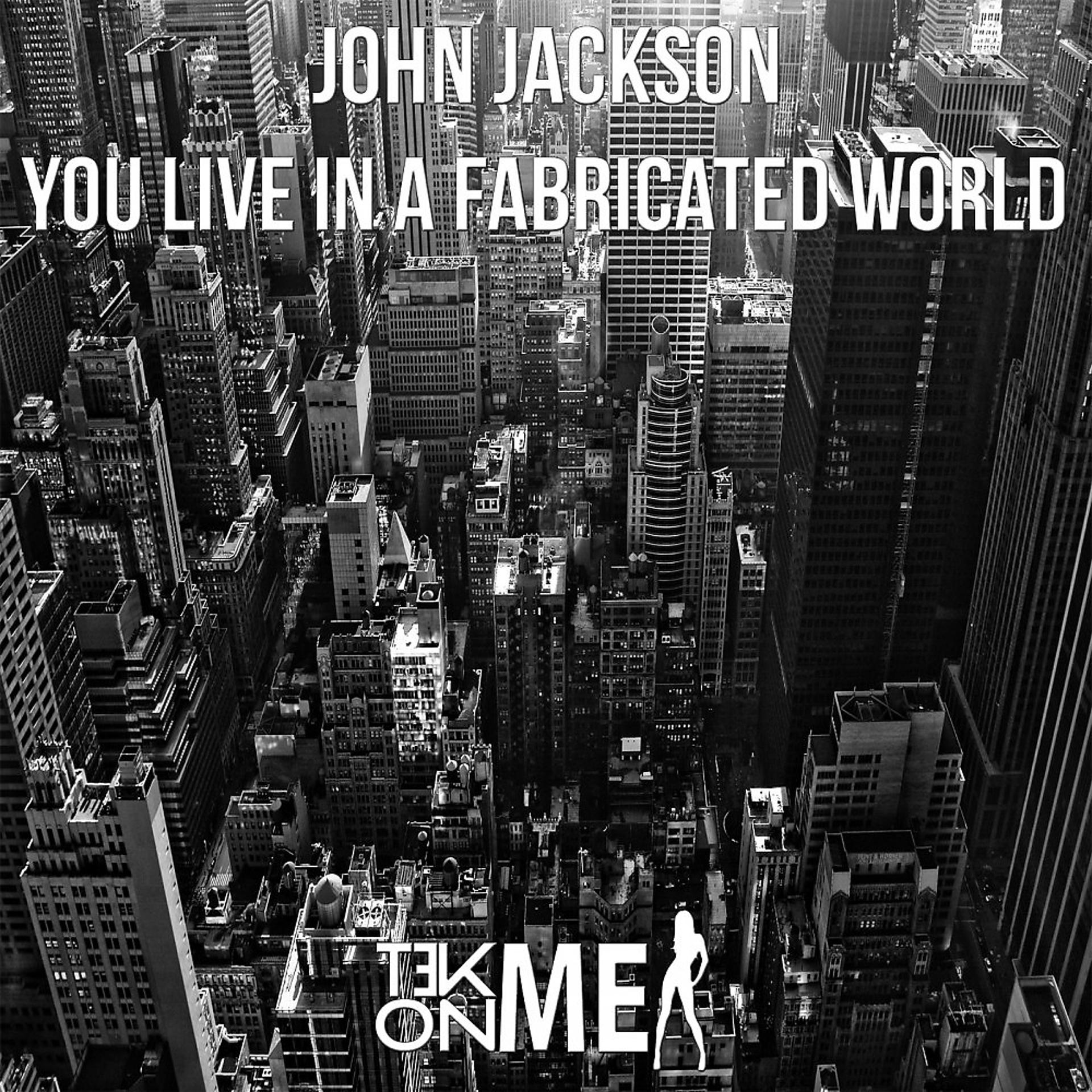 Постер альбома You Live in a Fabricated World