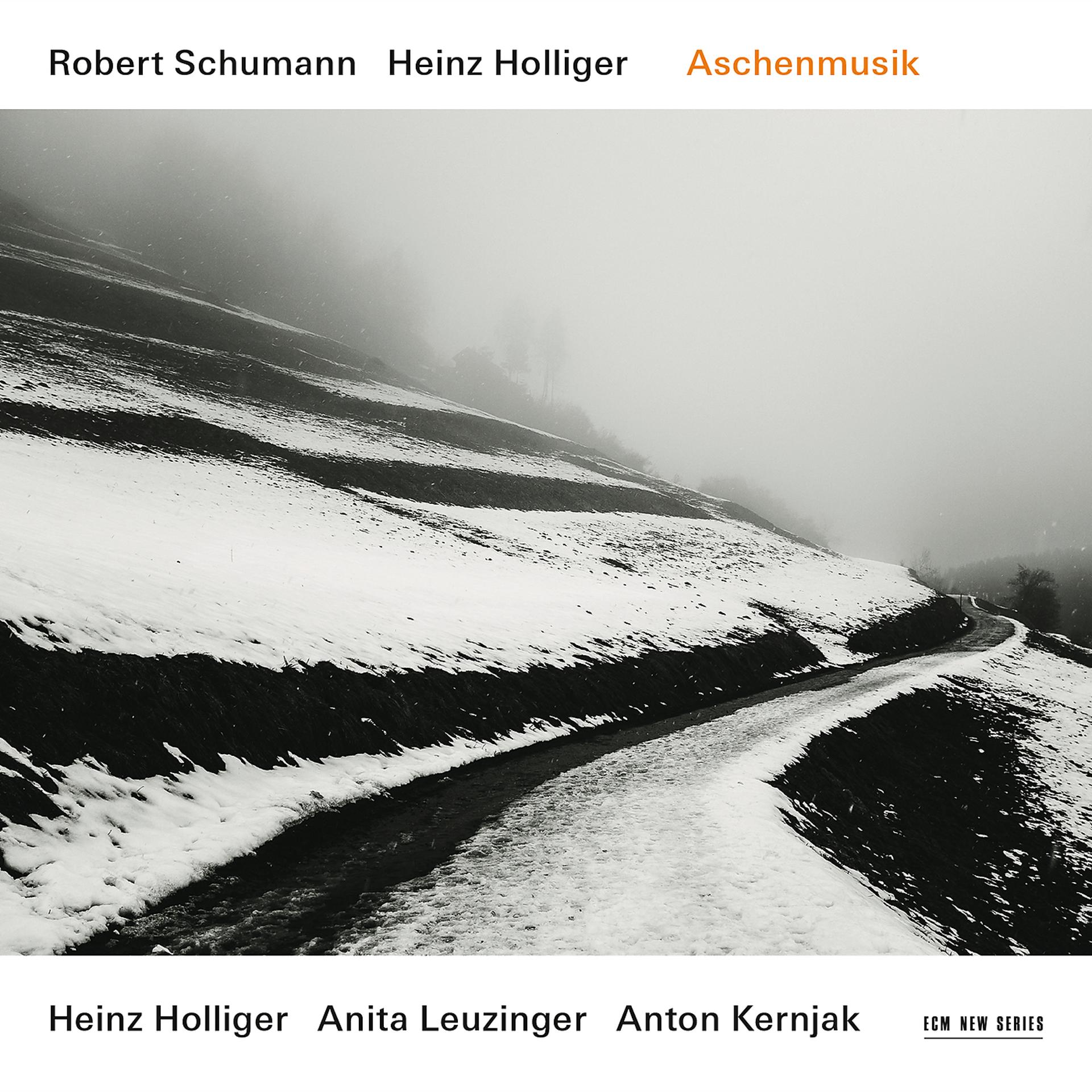 Постер альбома Robert Schumann / Heinz Holliger: Aschenmusik