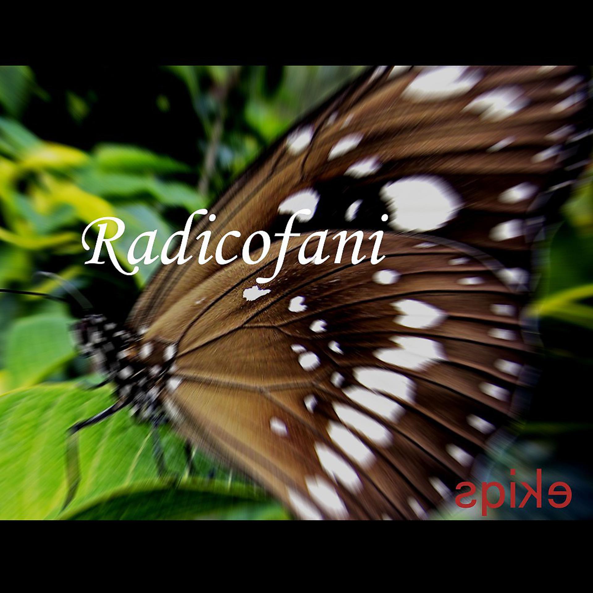 Постер альбома Radicofani