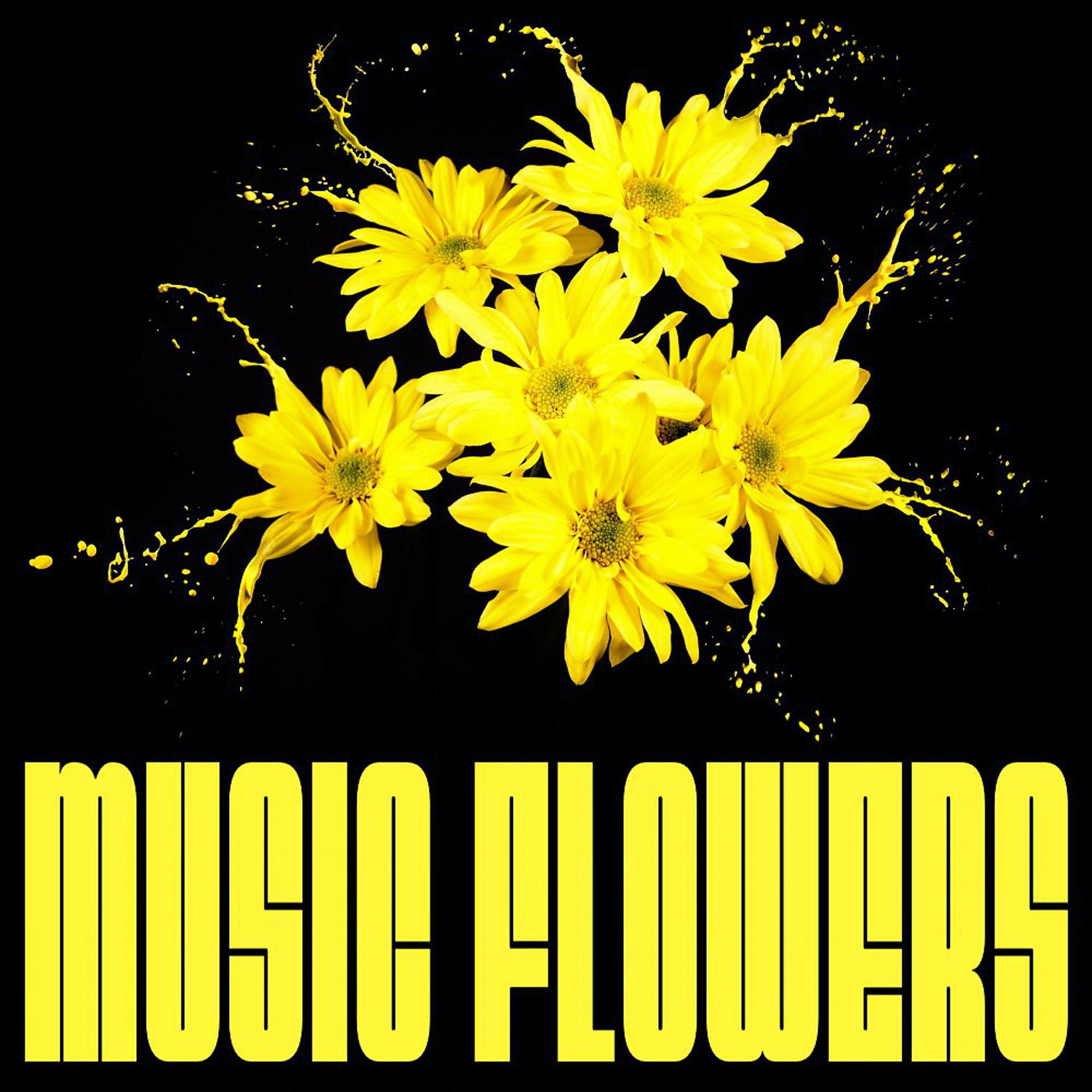 Постер альбома Music Flowers