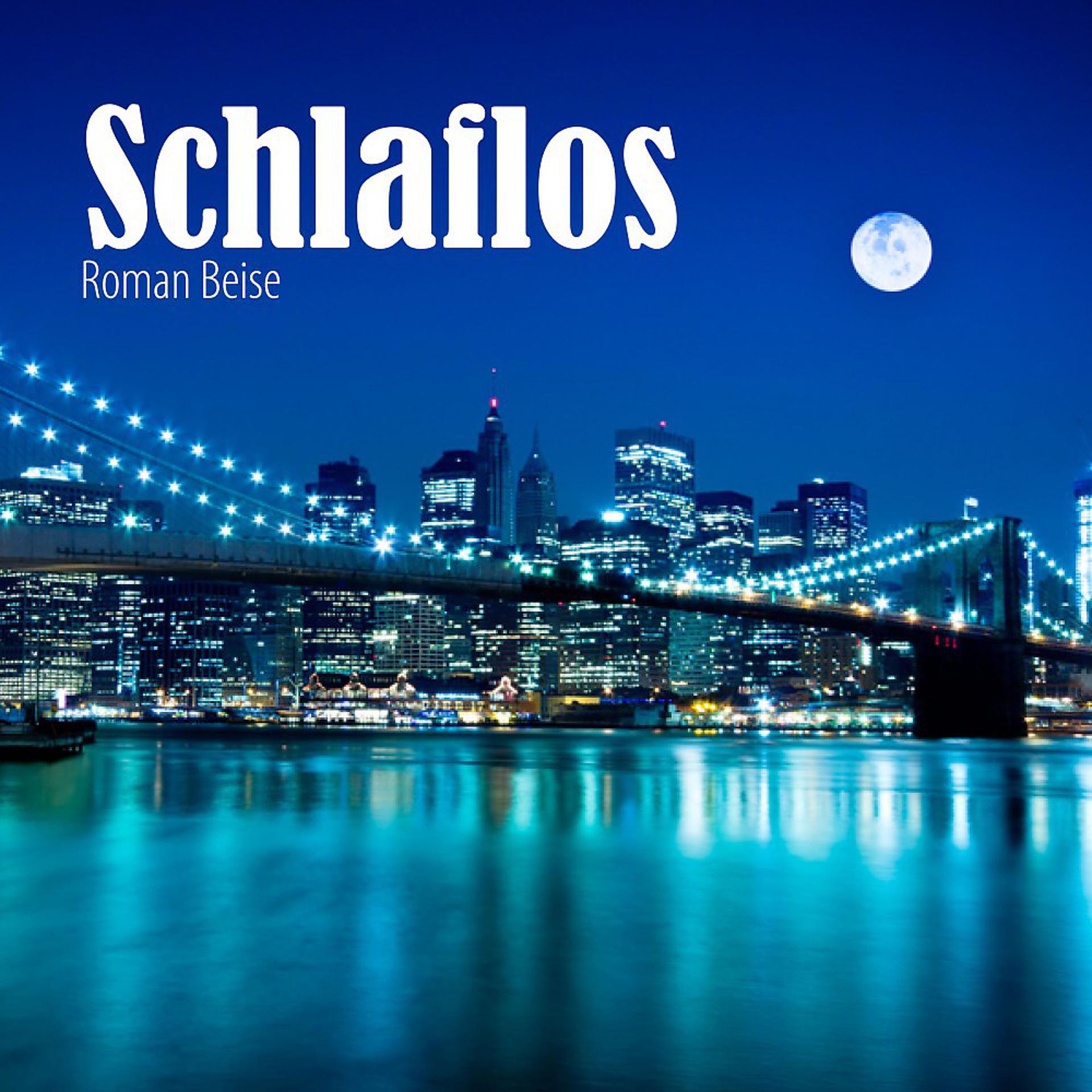 Постер альбома Schlaflos