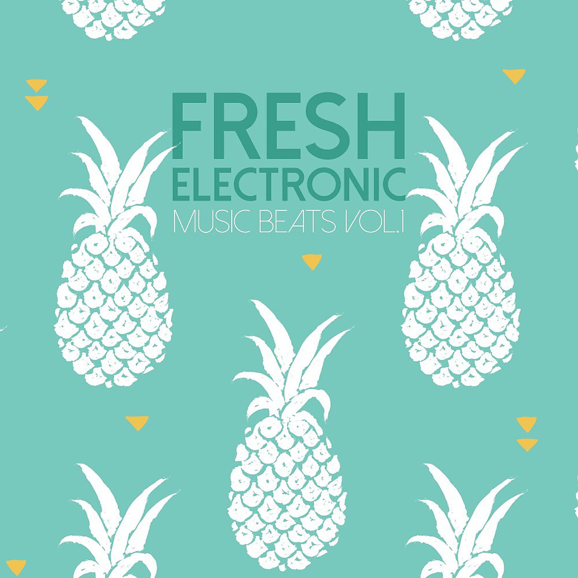 Постер альбома Fresh Electronic Music Beats, Vol. 2