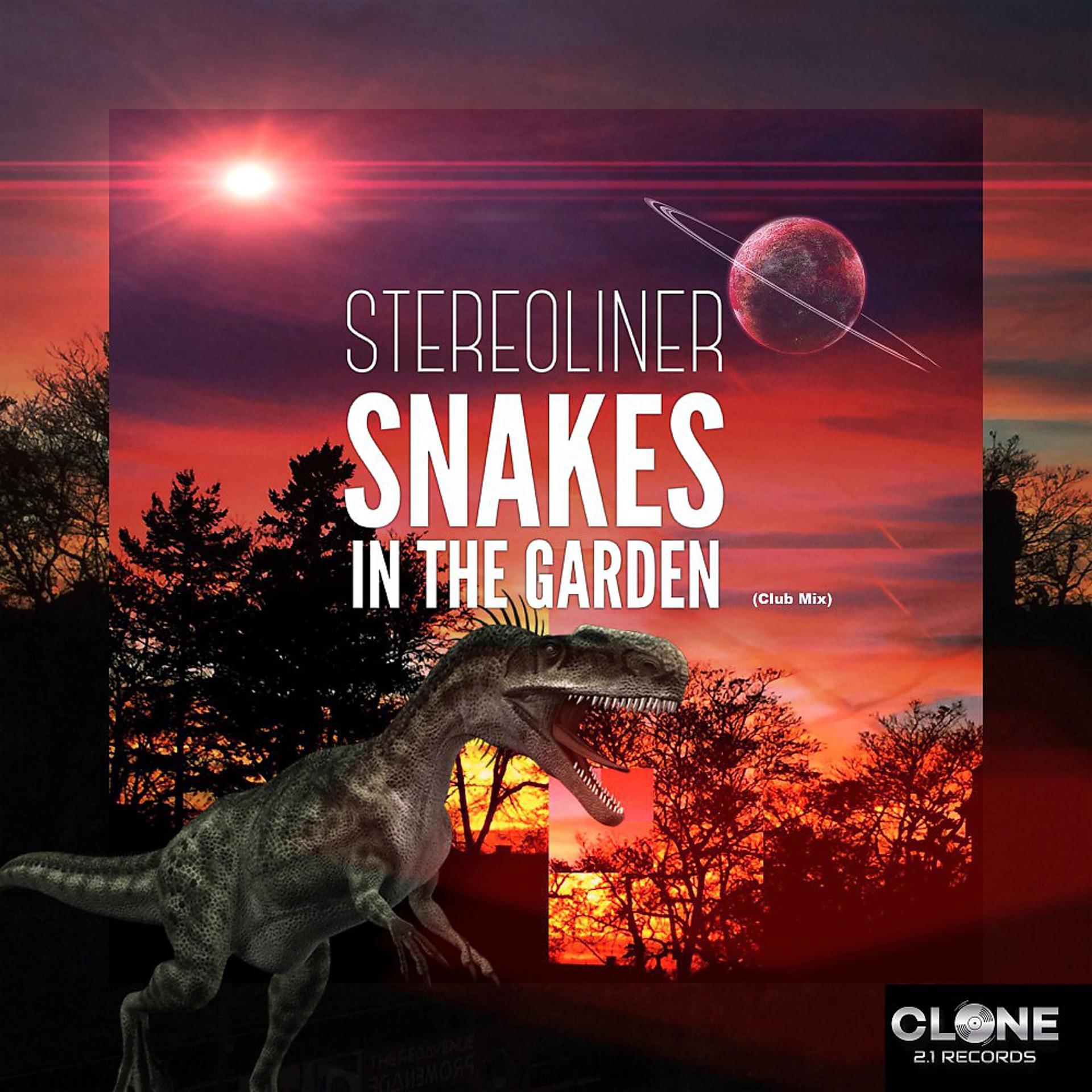 Постер альбома Snakes in the Garden (Club Mix)