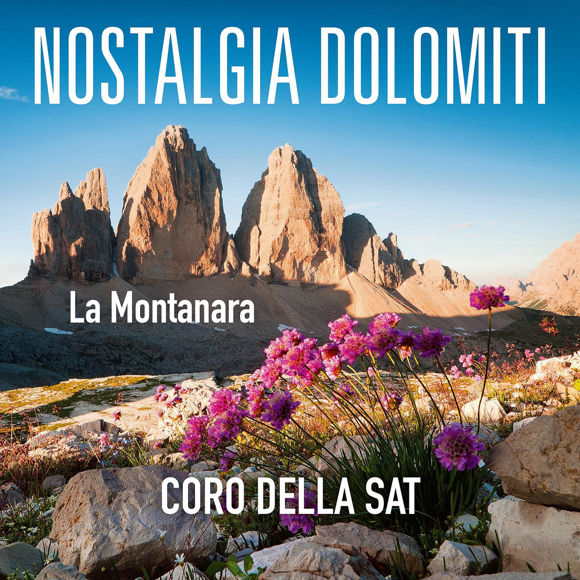 Постер альбома Nostalgia dolomiti, la montanara