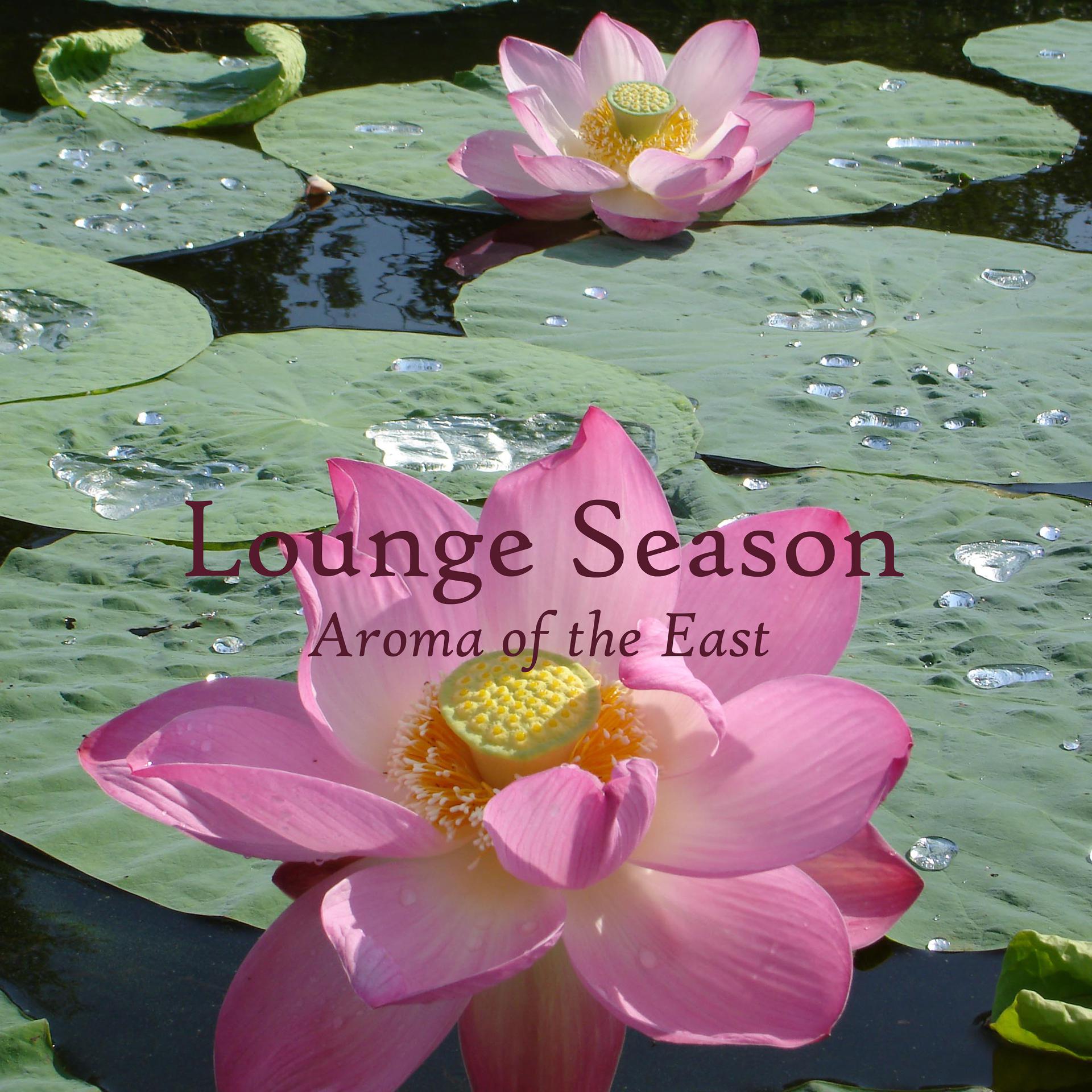 Постер альбома Lounge Season: Aroma of the East