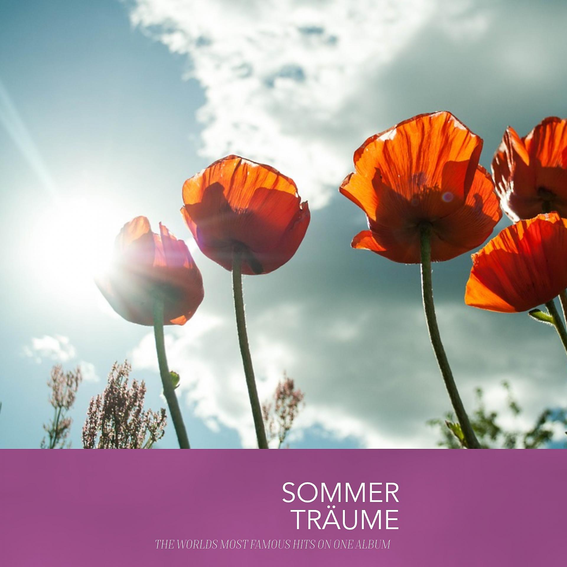 Постер альбома Sommer Träume