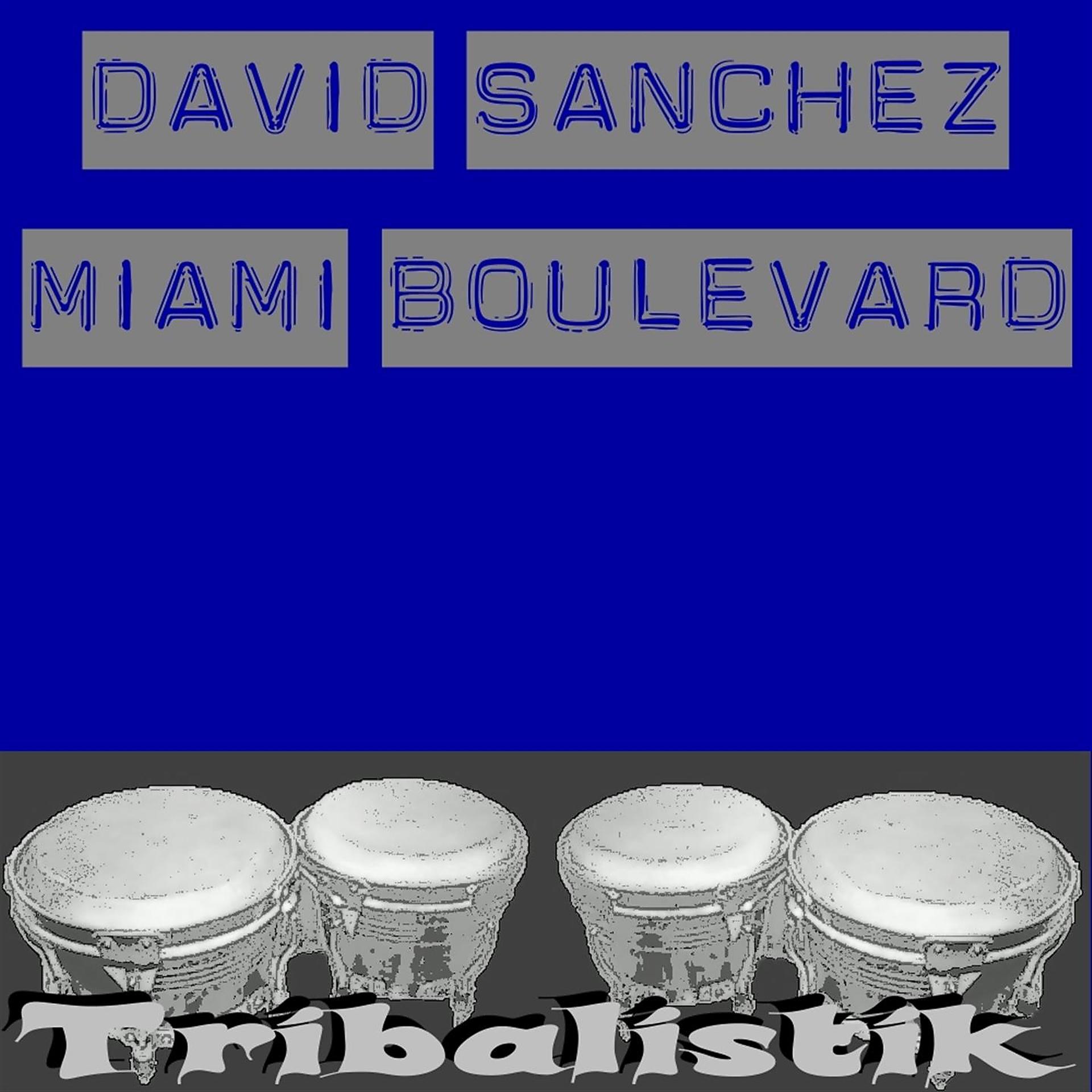 Постер альбома Miami boulevard