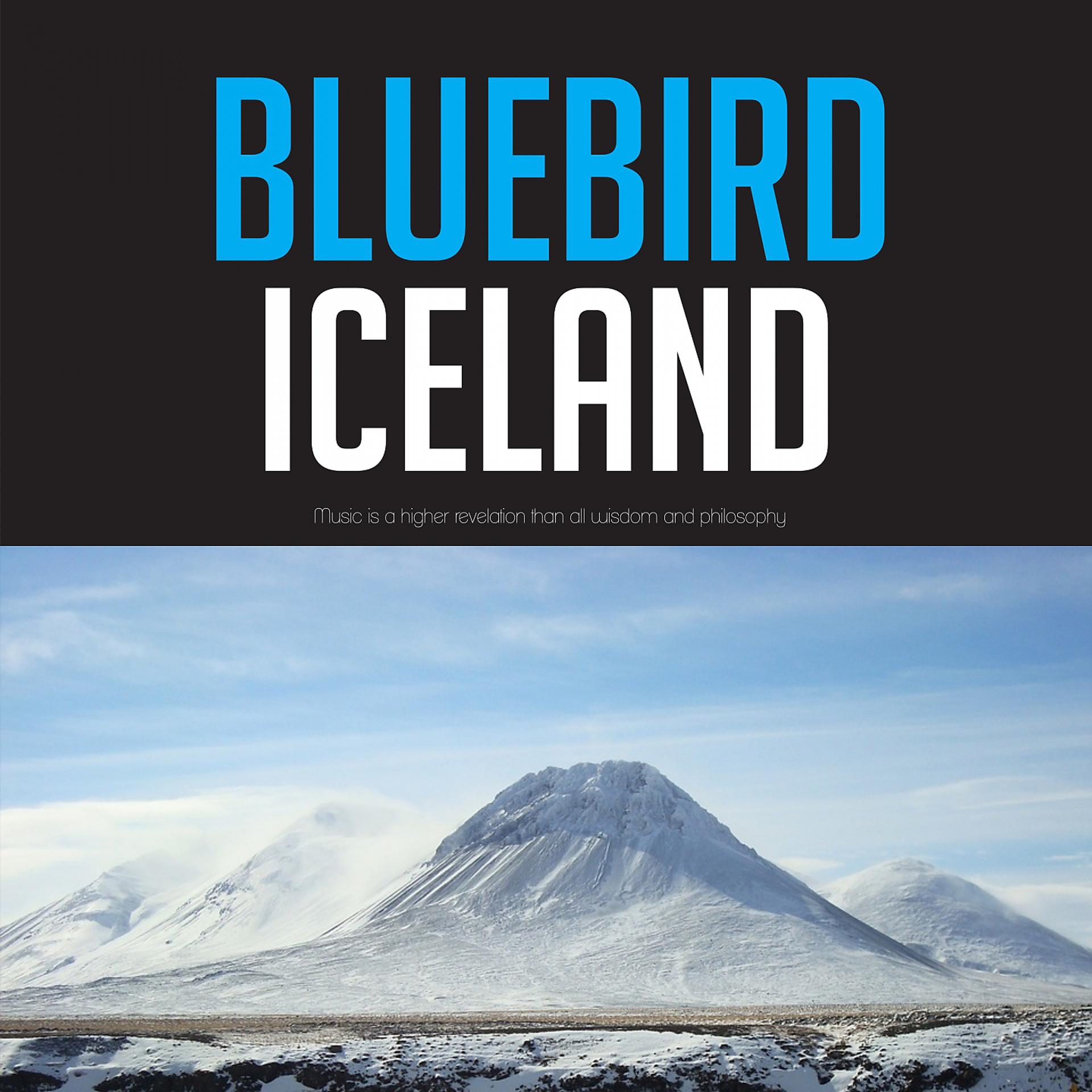 Постер альбома Bluebird Iceland