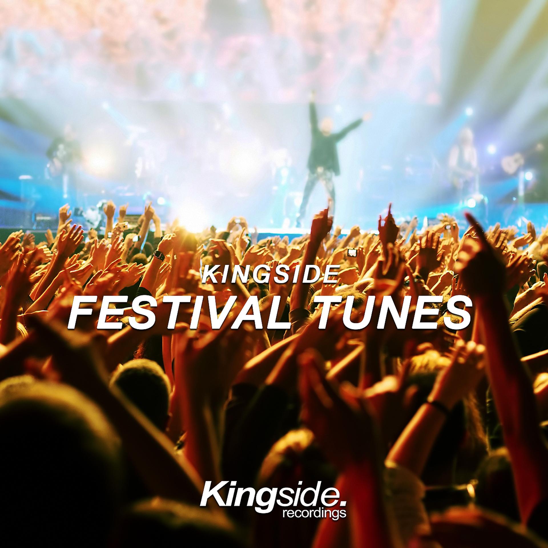 Постер альбома Kingside Festival Tunes