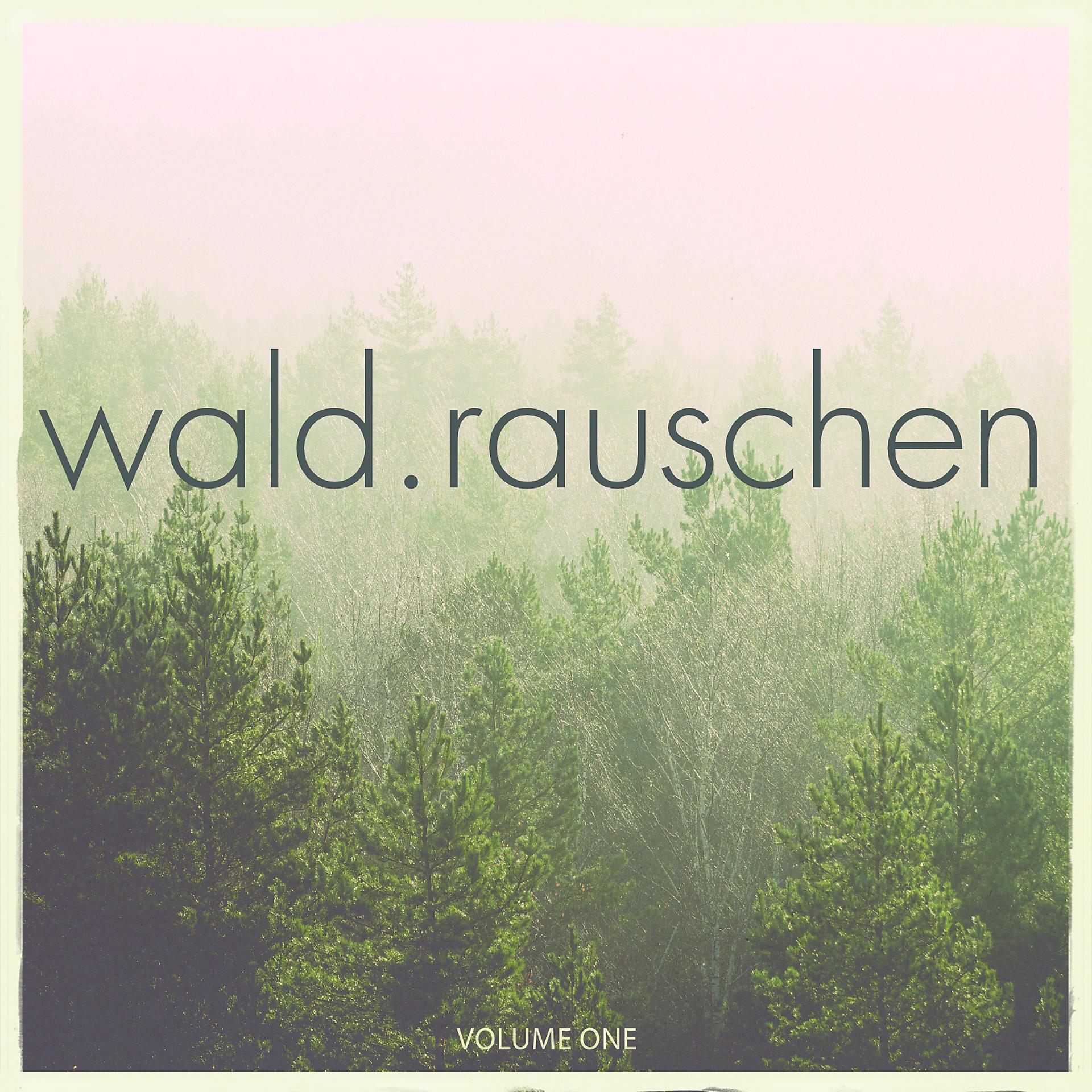 Постер альбома Waldrauschen, Vol. 1