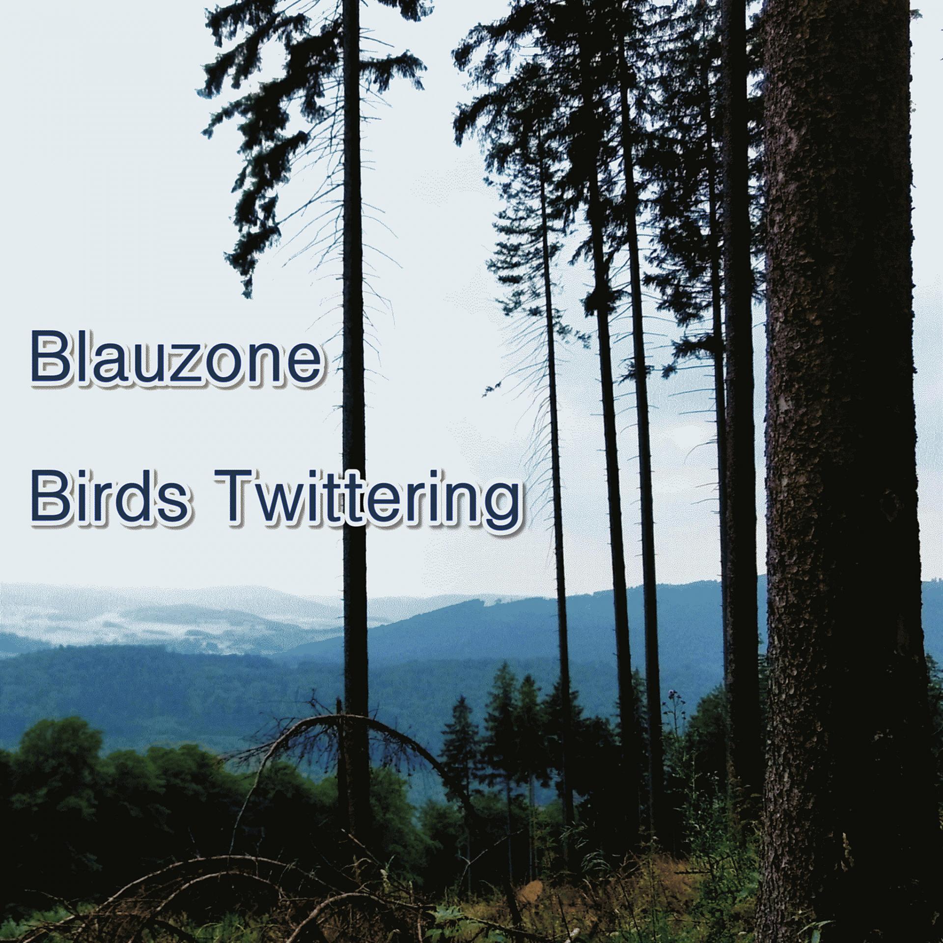 Постер альбома Birds Twittering