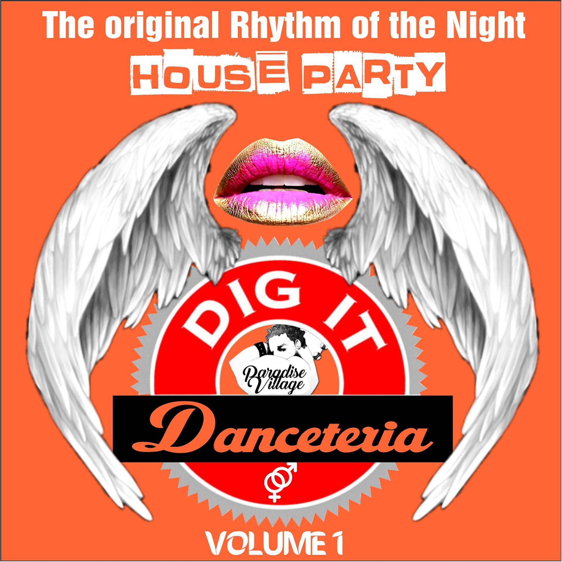 Постер альбома Danceteria Dig-It - Volume 1 - The Original Rhythm of the Night - House Party