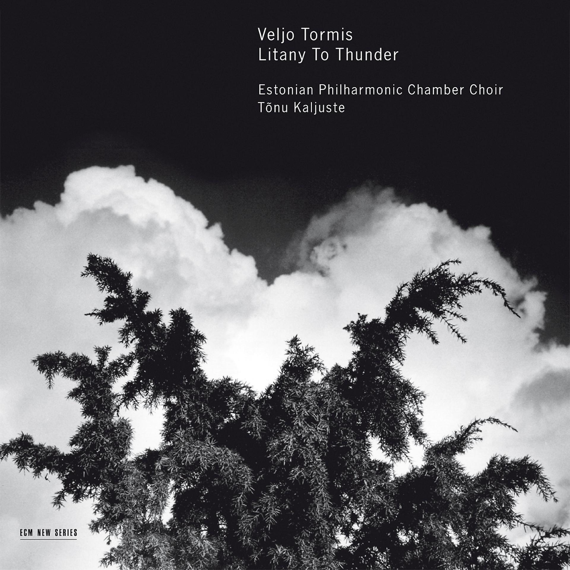 Постер альбома Tormis: Litany To Thunder