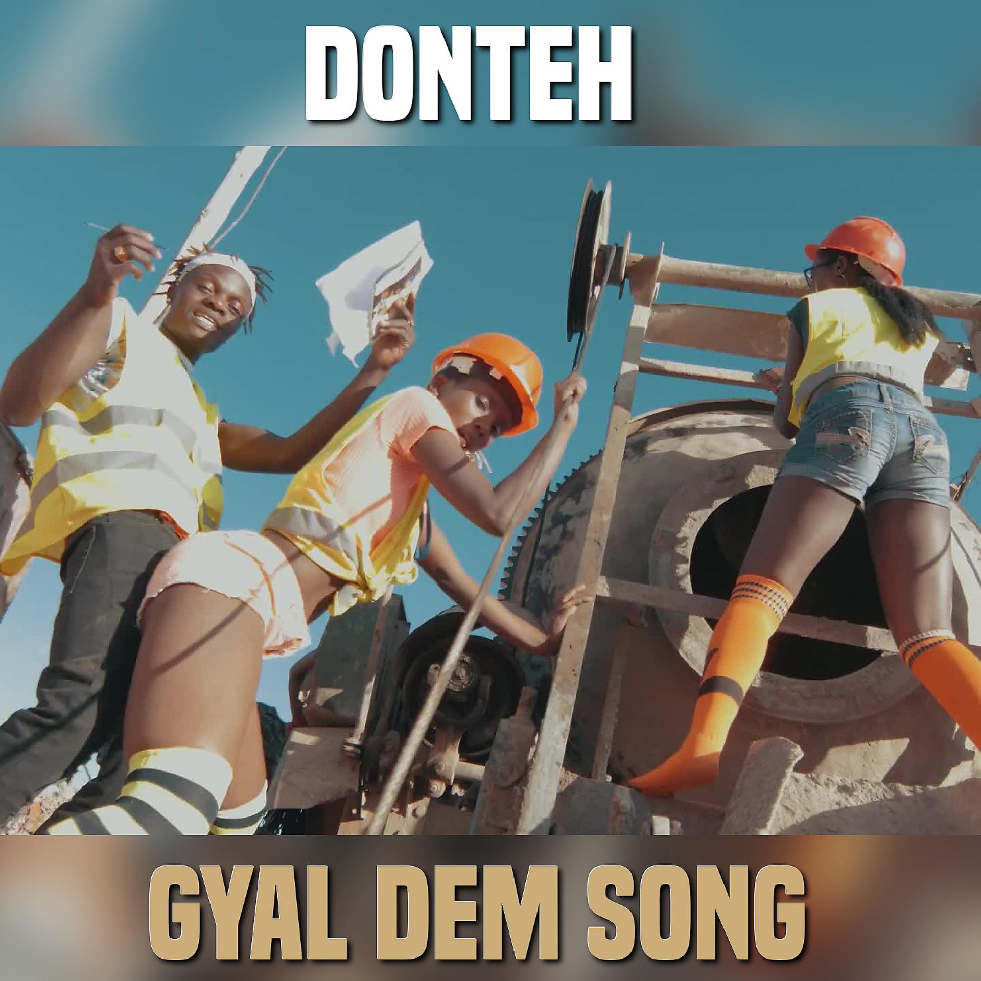 Постер альбома Gyal Dem Song