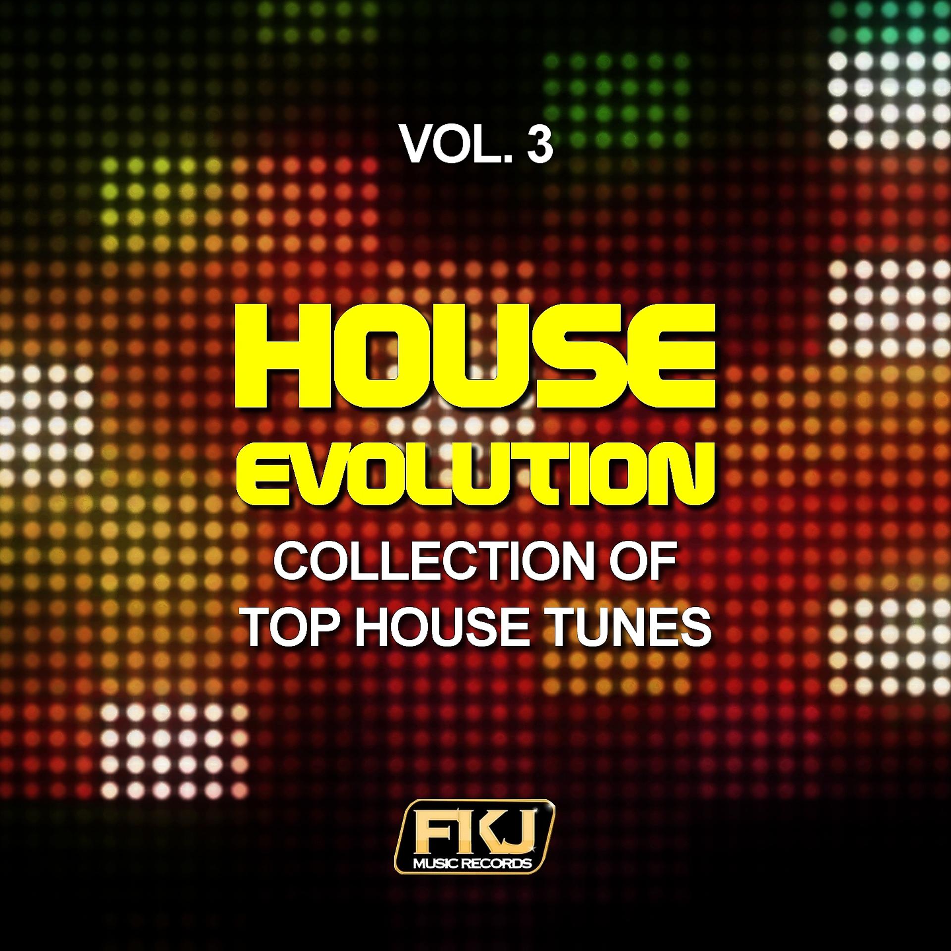 Постер альбома House Evolution, Vol. 3 (Collection of Top House Tunes)